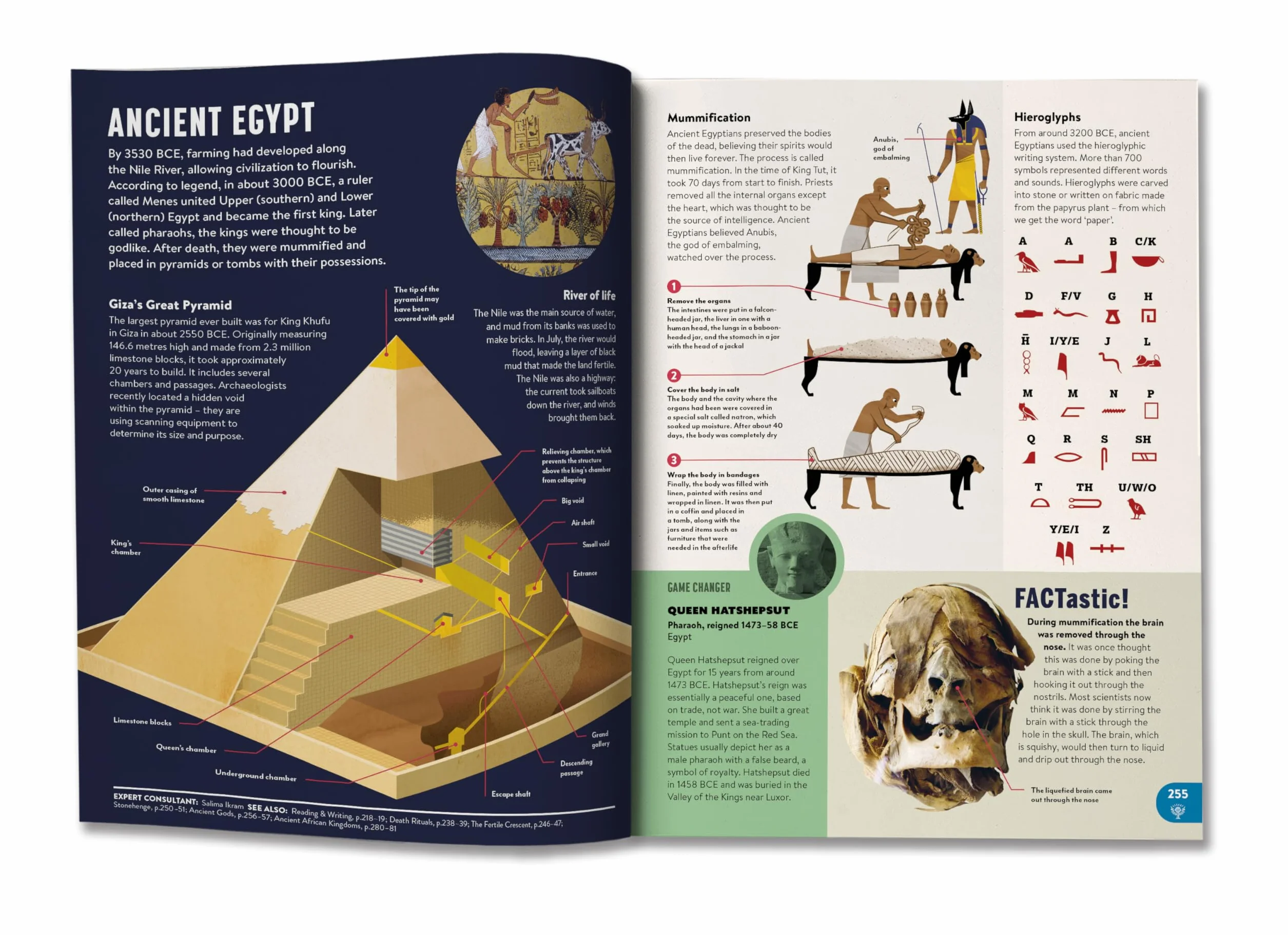 Britannica All New Children's Encyclopedia: What We Know & What We Don't
