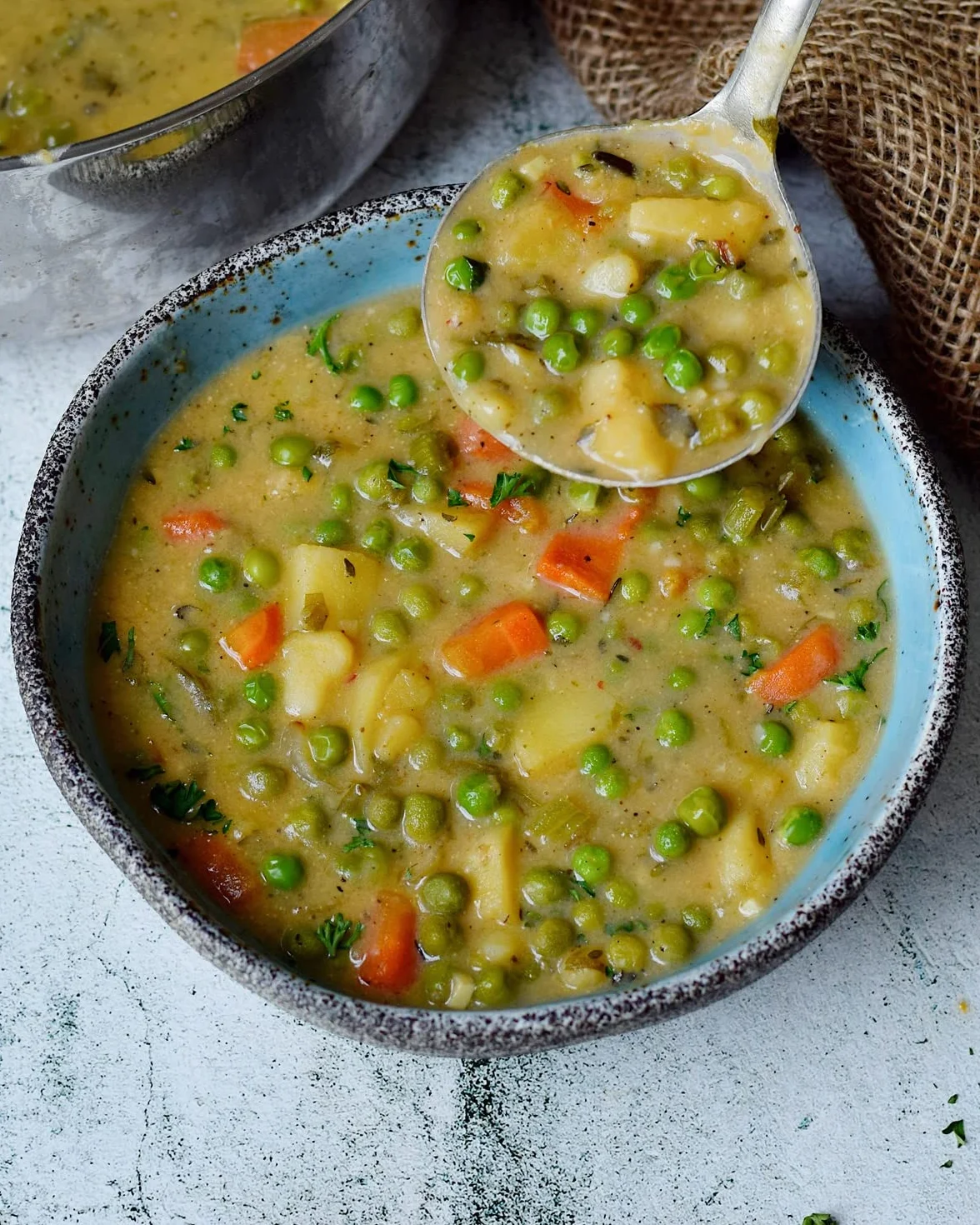 Vegan & Gluten-Free Recipes: 100 Plant-Based Meals by Elavegan
