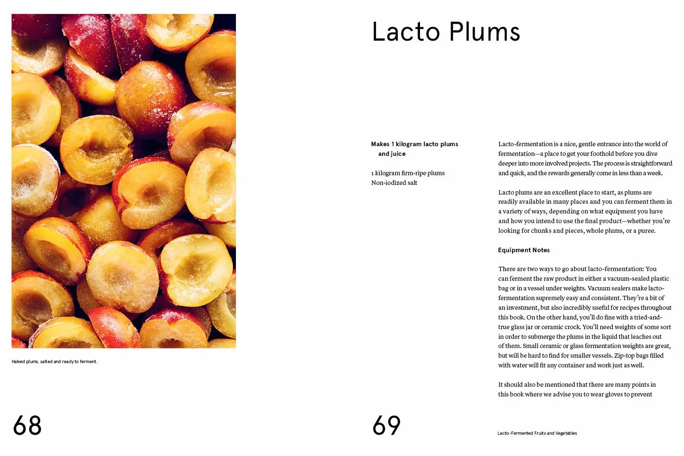 The Noma Guide to Fermentation: Koji, Kombuchas, Shoyus, Misos, Vinegars, Garums, Lacto-Ferments, Black Fruits & Vegetables