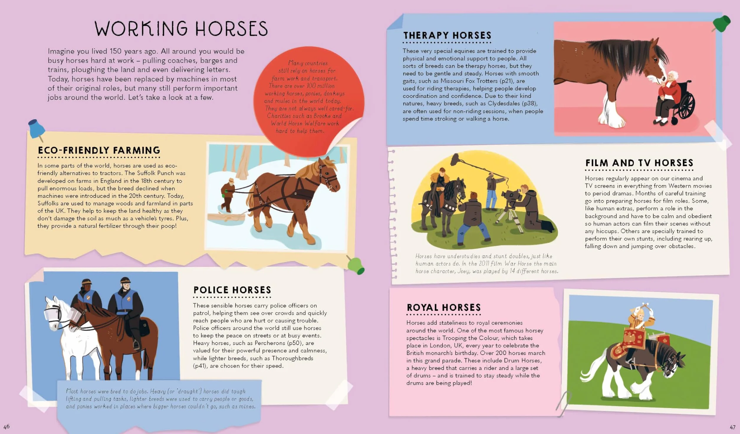 Atlas of Horses and Ponies: 100 Amazing Breeds From Around the World Fun Features Illustrations Learn About Super Senses Fascinating Facts