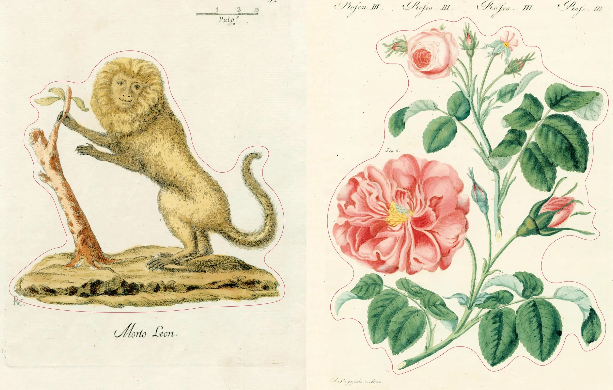 John Derian Sticker Book II /anglais