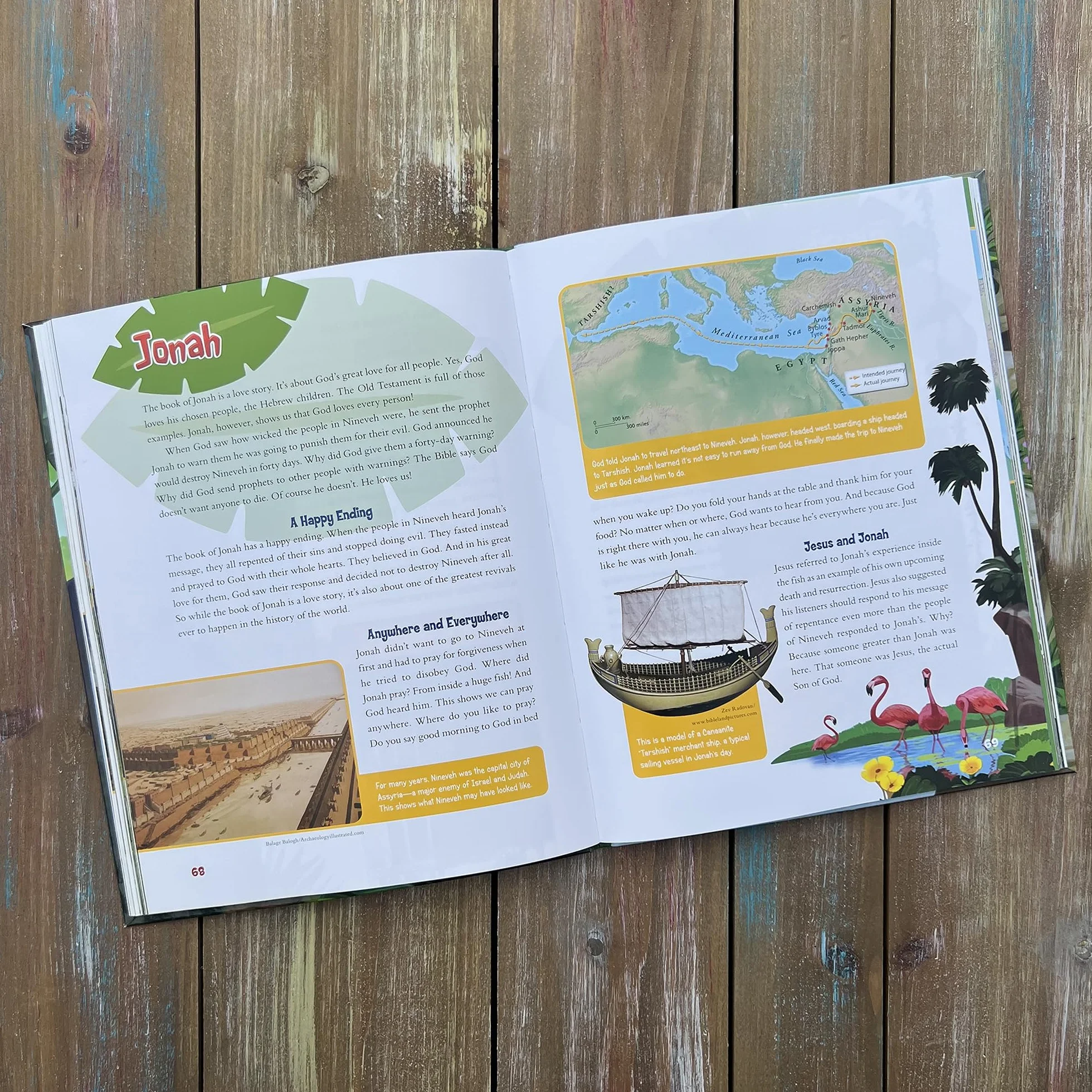 Adventure Bible Guide: Explore the Stories, People, and Places of Every Book in the Bible: An Ideal Companion to the NIV Adventure Bible