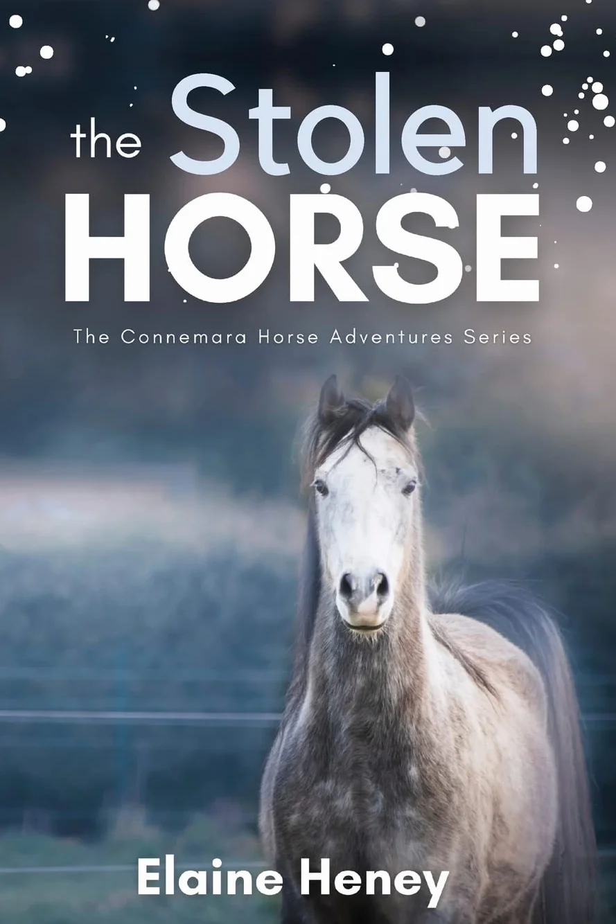 The Stolen Horse - Book 4 in the Connemara Horse Adventure Series for Kids | The Perfect Gift for Children age 8-12