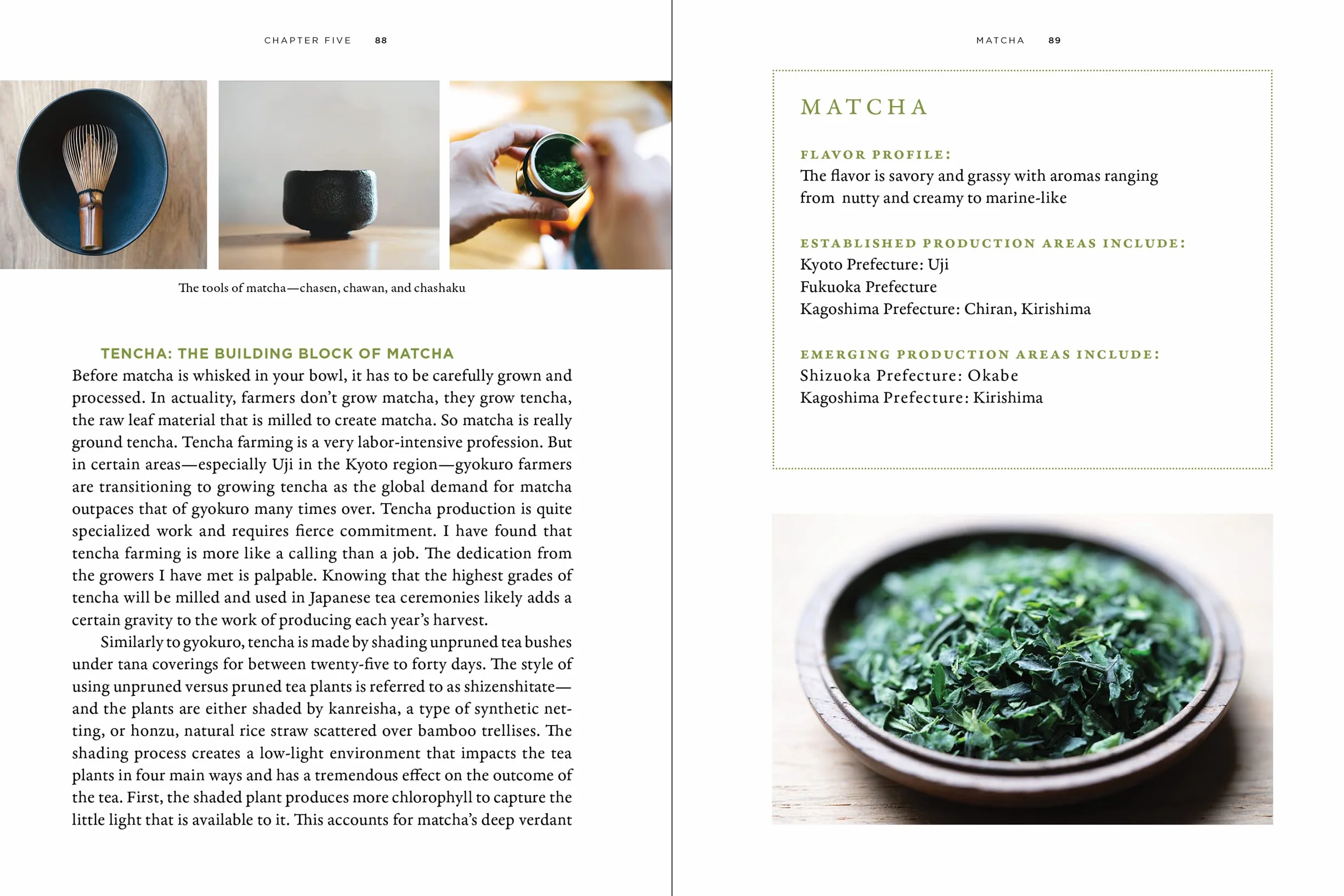 Stories of Japanese Tea: The Regions, the Growers, and the Craft