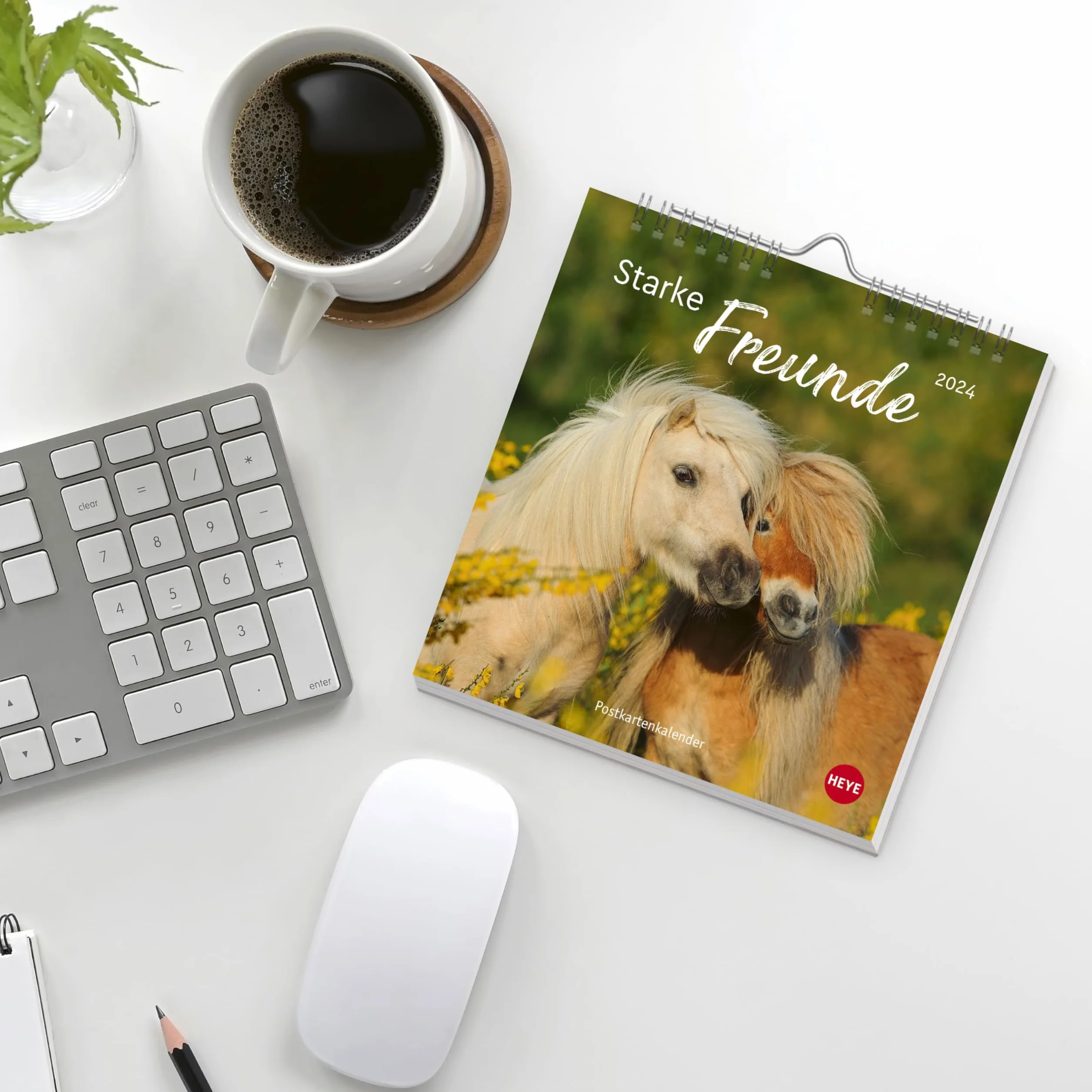 Pferde Starke Freunde Postkartenkalender 2024 Sabine Stuewer Postkarten-Fotokalender