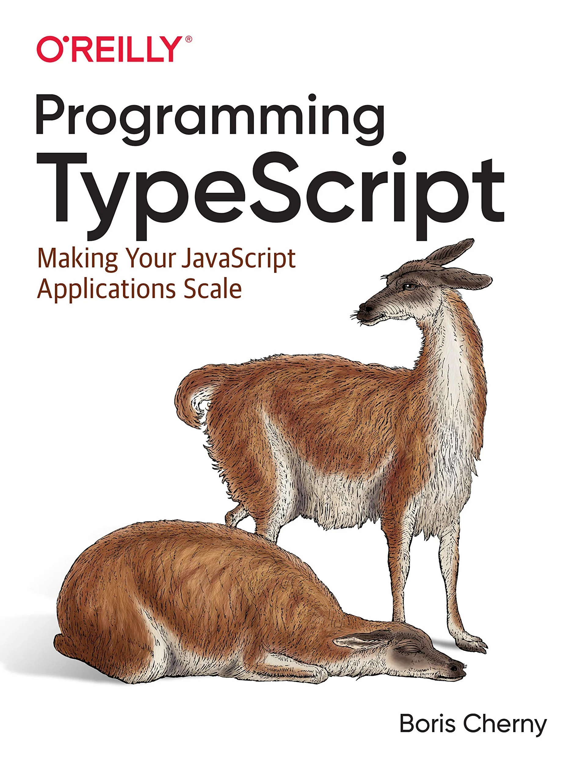 Programming TypeScript: Making JavaScript Applications Scale