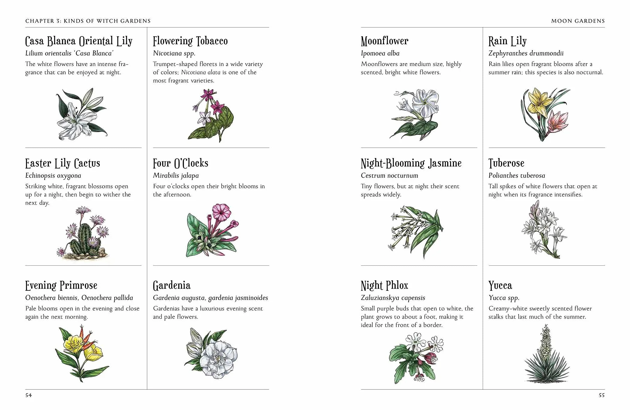 The Green Witch's Garden: Your Complete Guide to Creating a Magical Garden Space