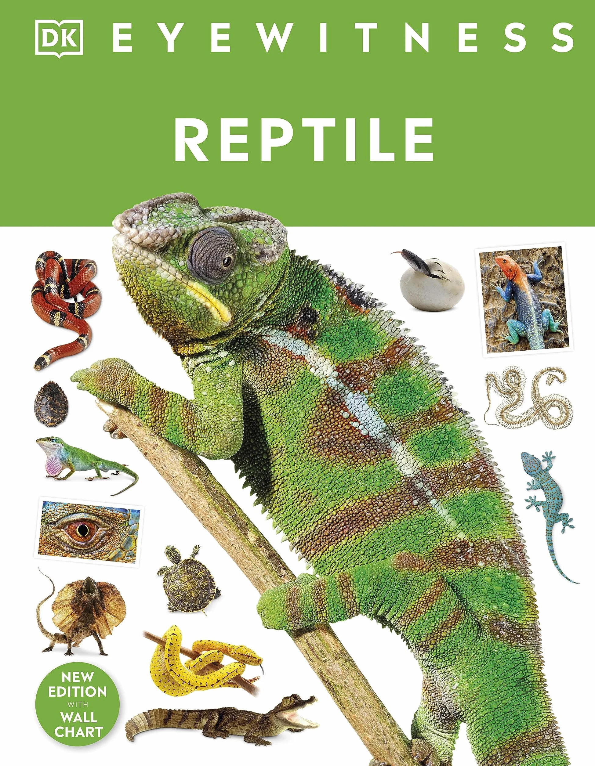 DK Eyewitness Reptile
