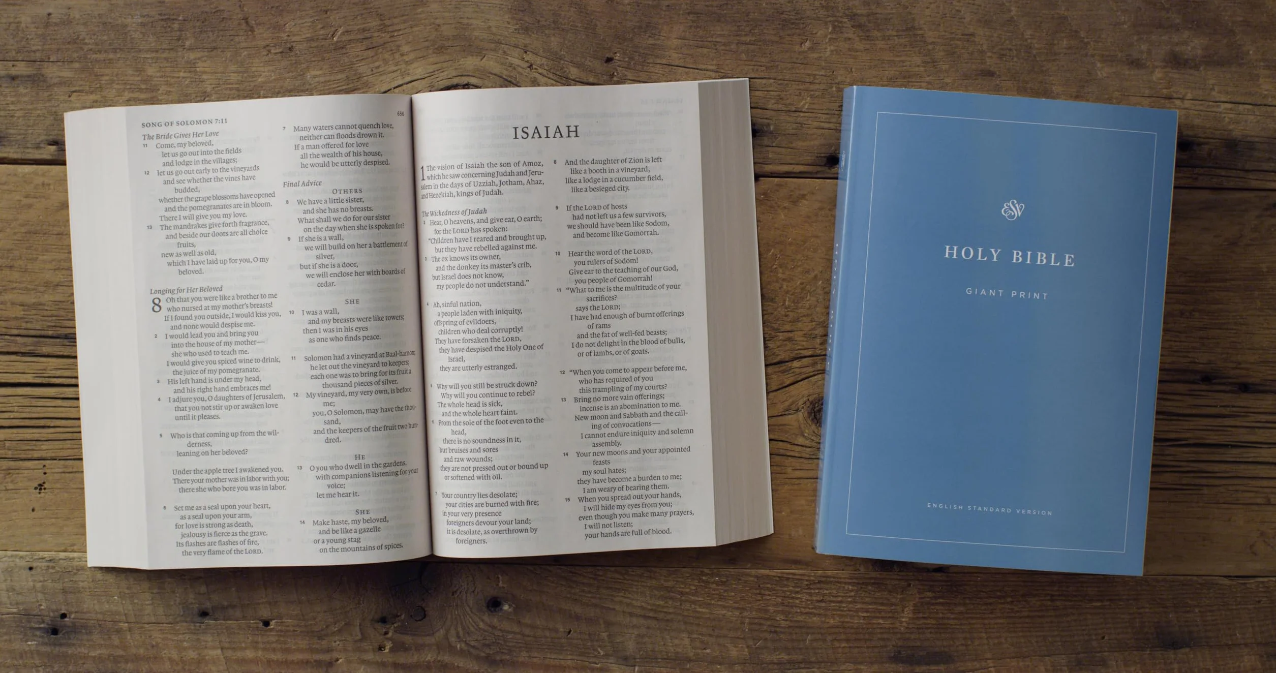 ESV Economy Bible, Giant Print (Paperback)