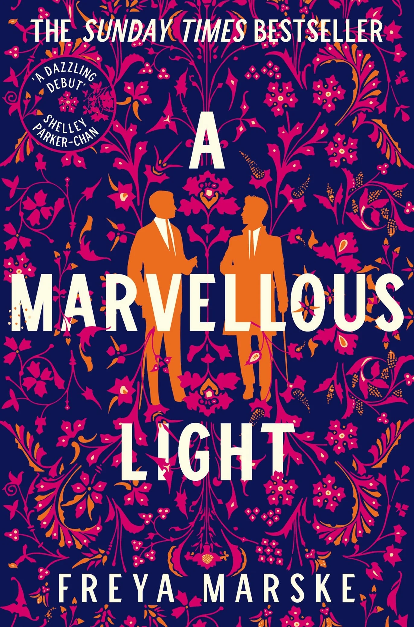 A Marvellous Light: a dazzling, queer romantic fantasy: 1