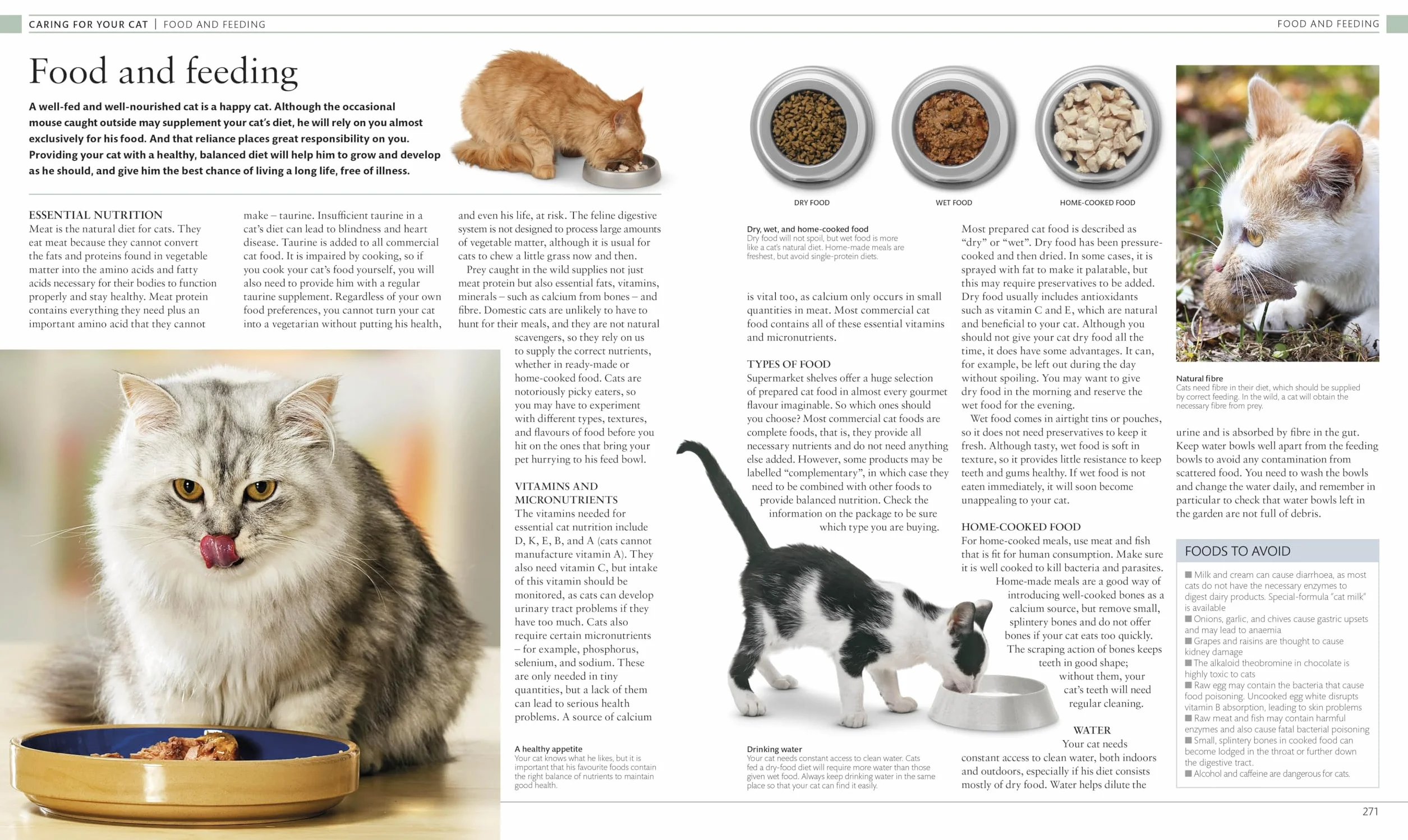The Cat Encyclopedia: The Definitive Visual Guide