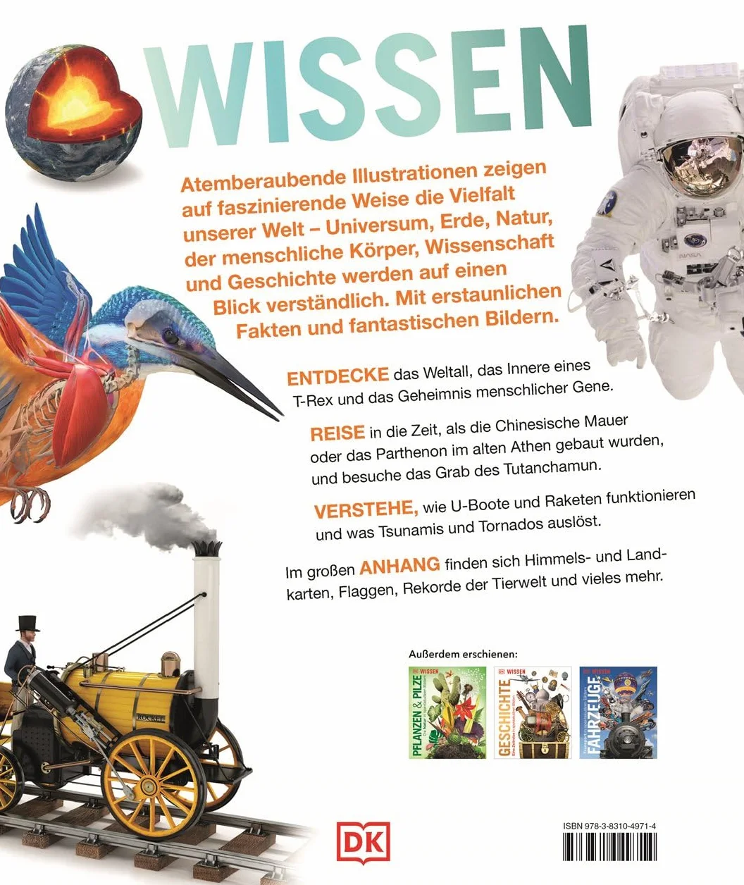 DK Wissen: Das große Lexikon in spektakulären Bildern. Für Kinder ab 8 Jahren