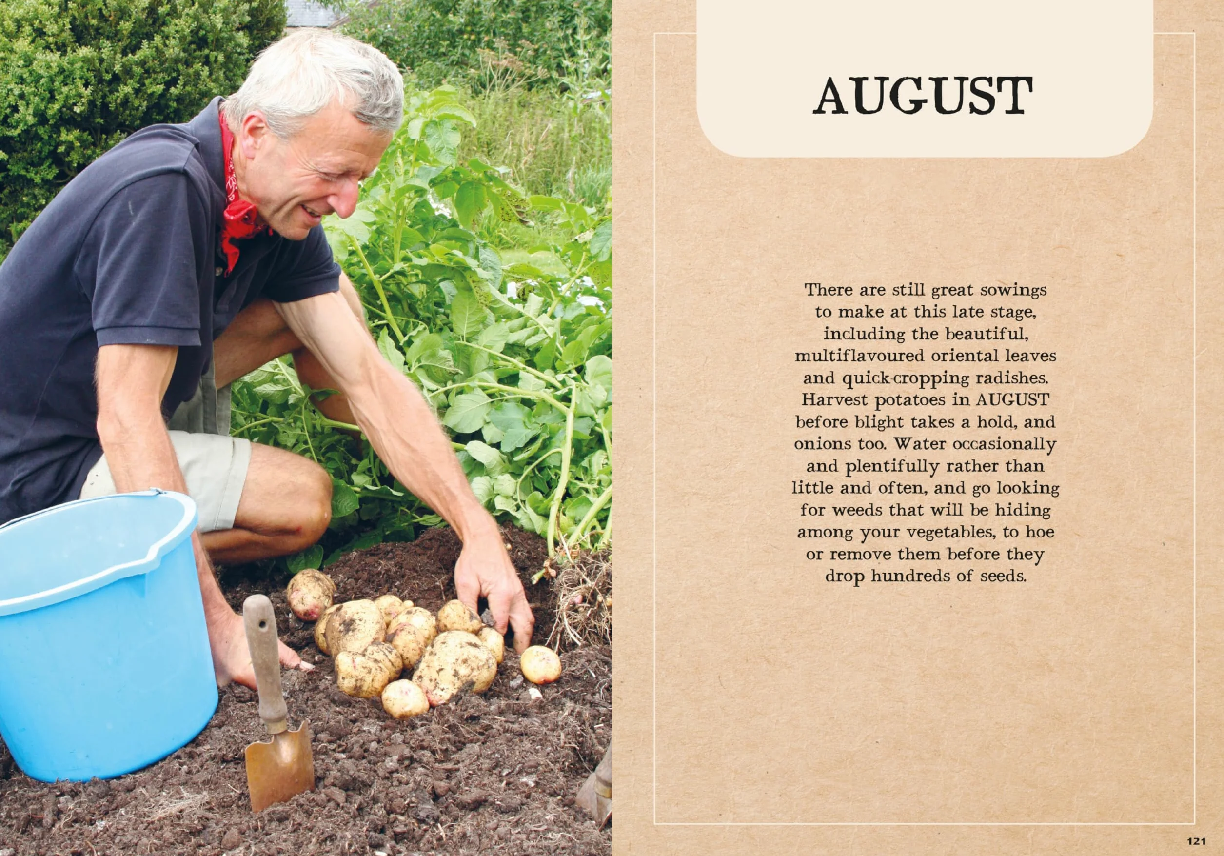 Charles Dowding's Veg Journal: Expert No-Dig Advice Month by Month