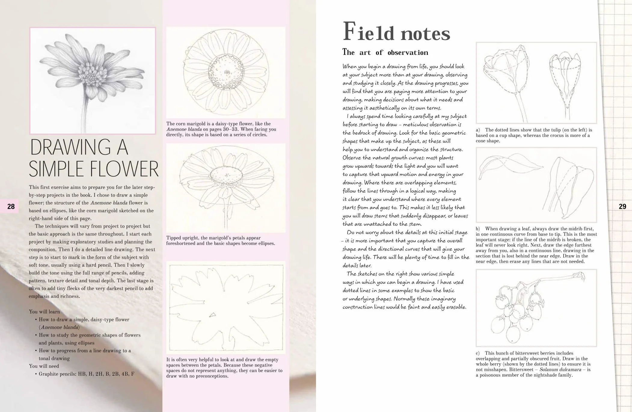 Botanical Drawing: A Step-By-Step Guide to Drawing Flowers, Vegetables, Fruit and Plant Life