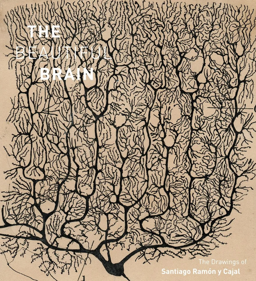 The Beautiful Brain: The Drawings of Santiago Ramon Y Cajal