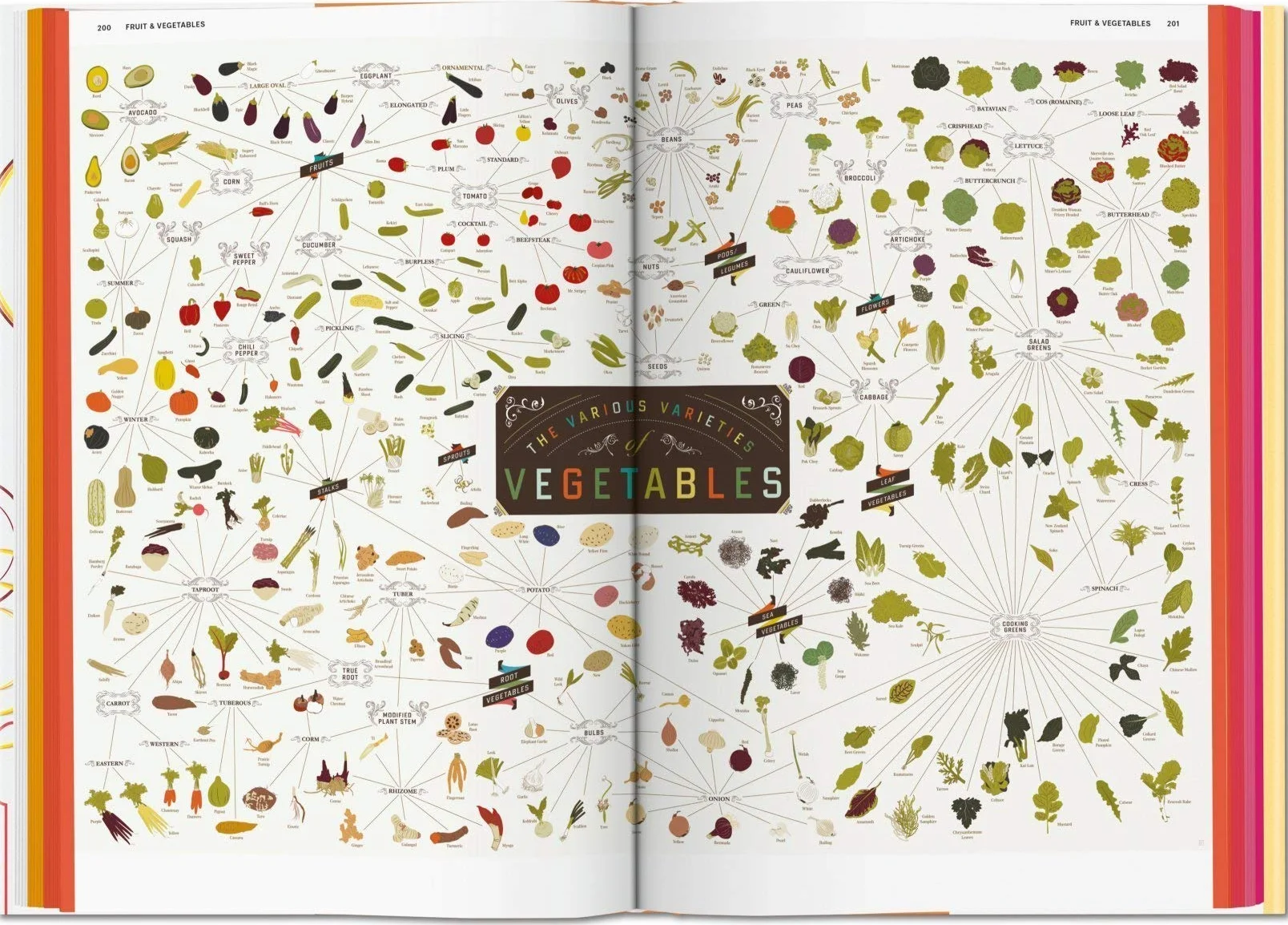 Food & Drink Infographics: A Visual Guide to Culinary Pleasures