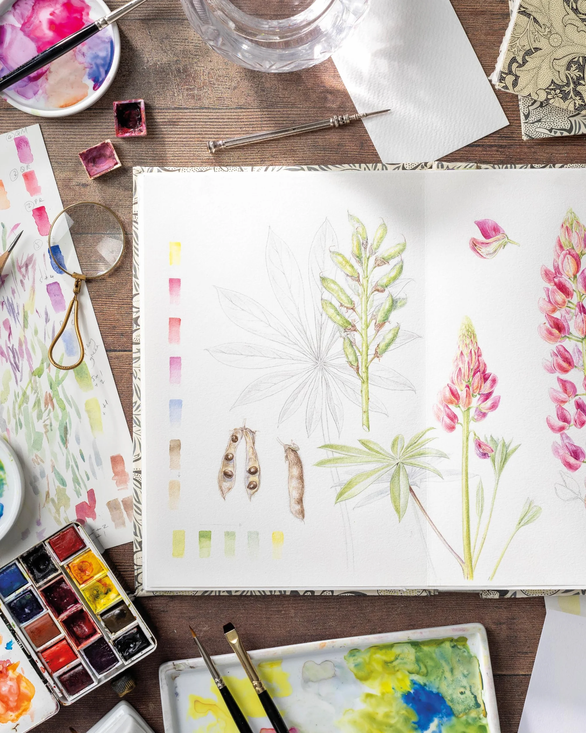 Sketching Nature: The Beginner's Guide to Keeping a Botanical Sketchbook