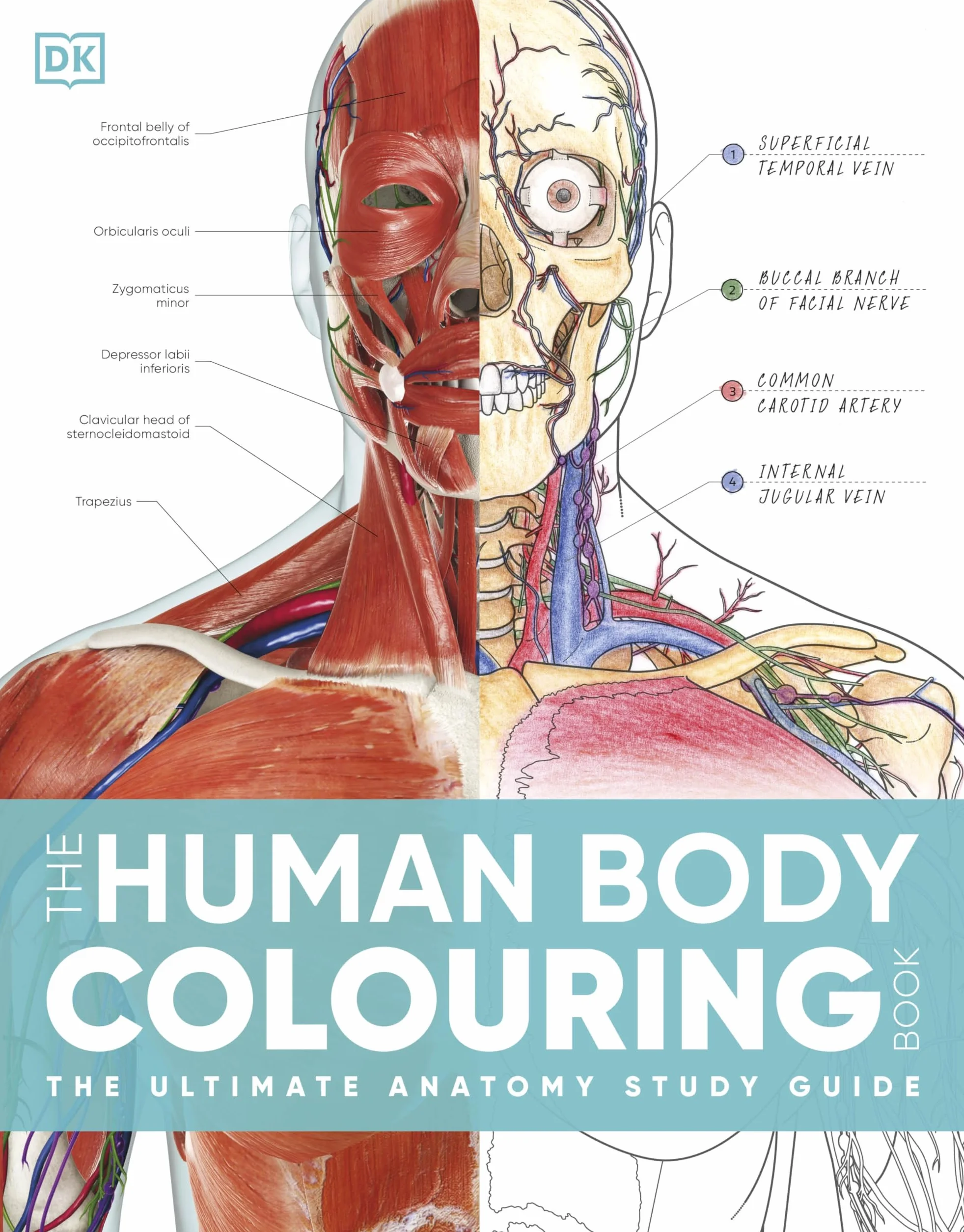 The Human Body Colouring Book: The Ultimate Anatomy Study Guide