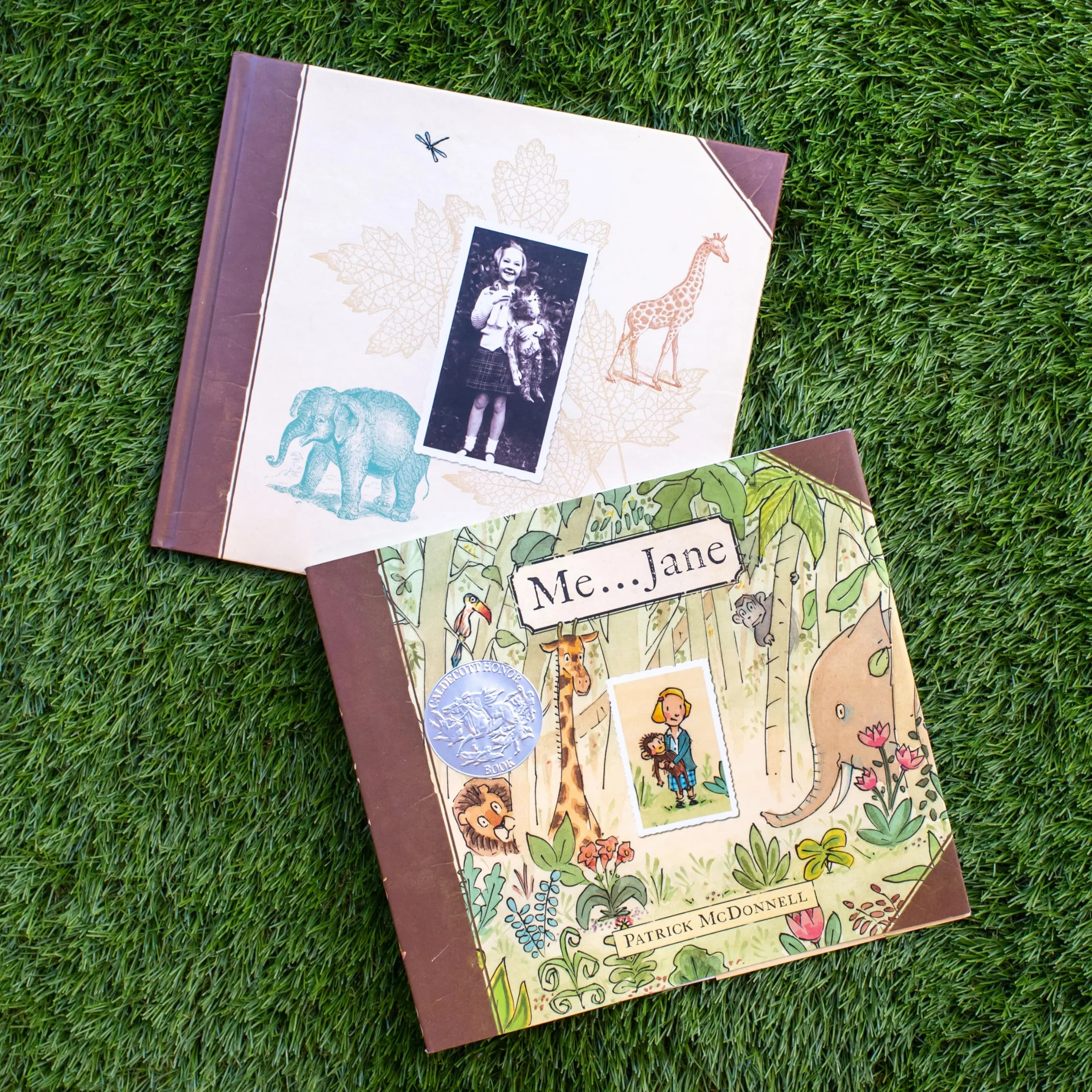 Me . . . Jane (Caldecott Honor Book)