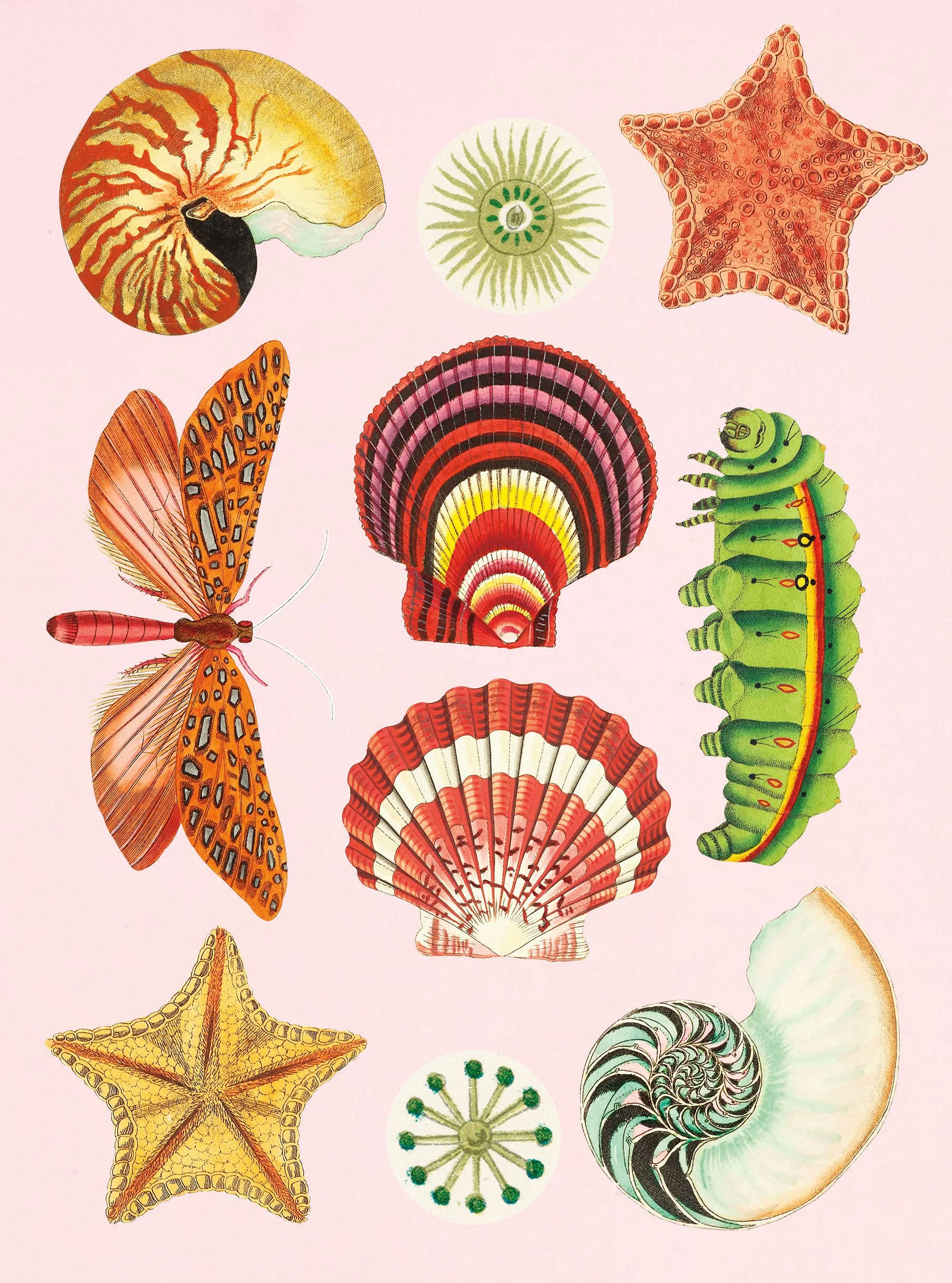 The Antiquarian Sticker Book (Over 1,000 Exquisite Victorian Stickers) /anglais