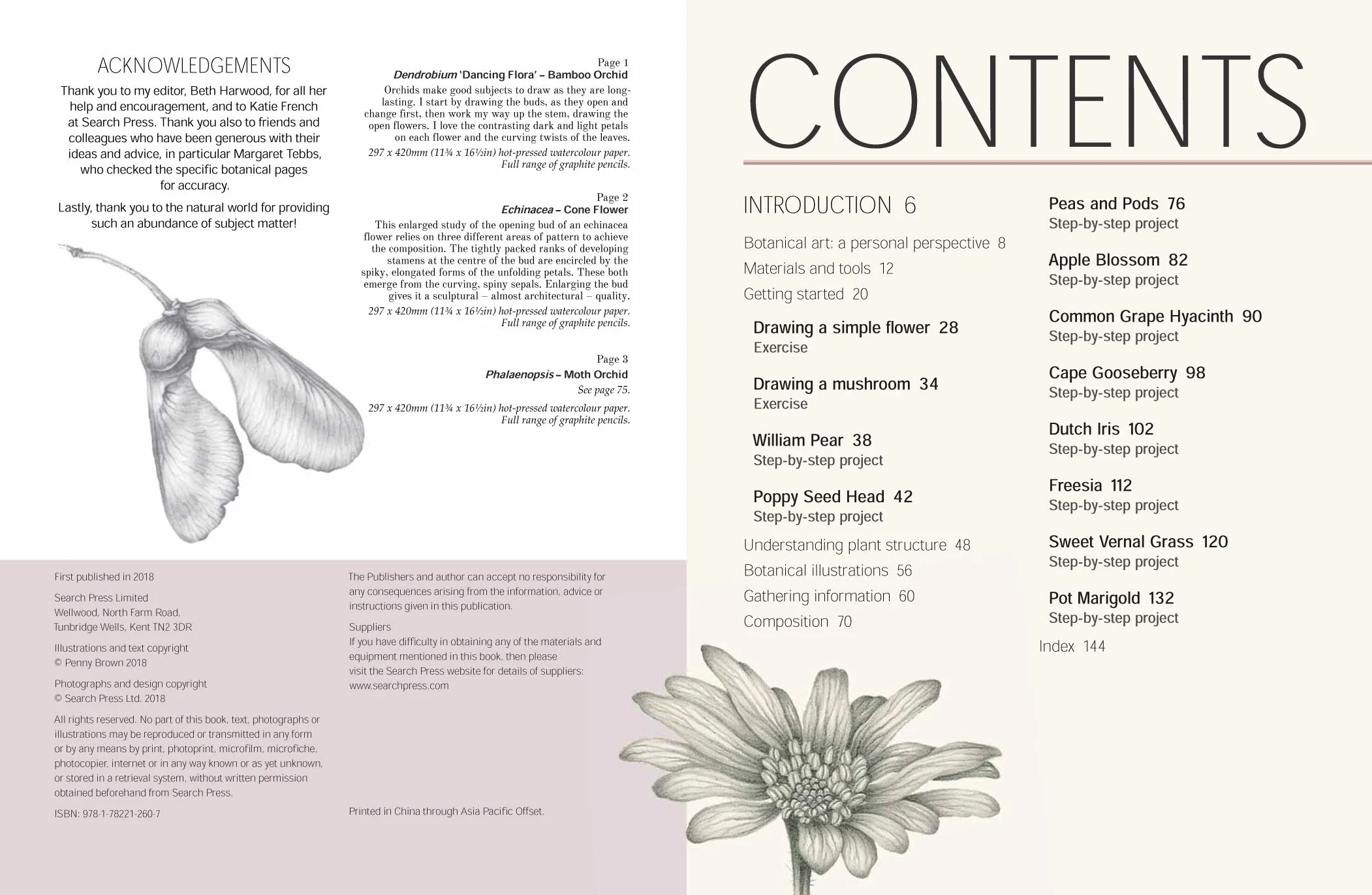 Botanical Drawing: A Step-By-Step Guide to Drawing Flowers, Vegetables, Fruit and Plant Life