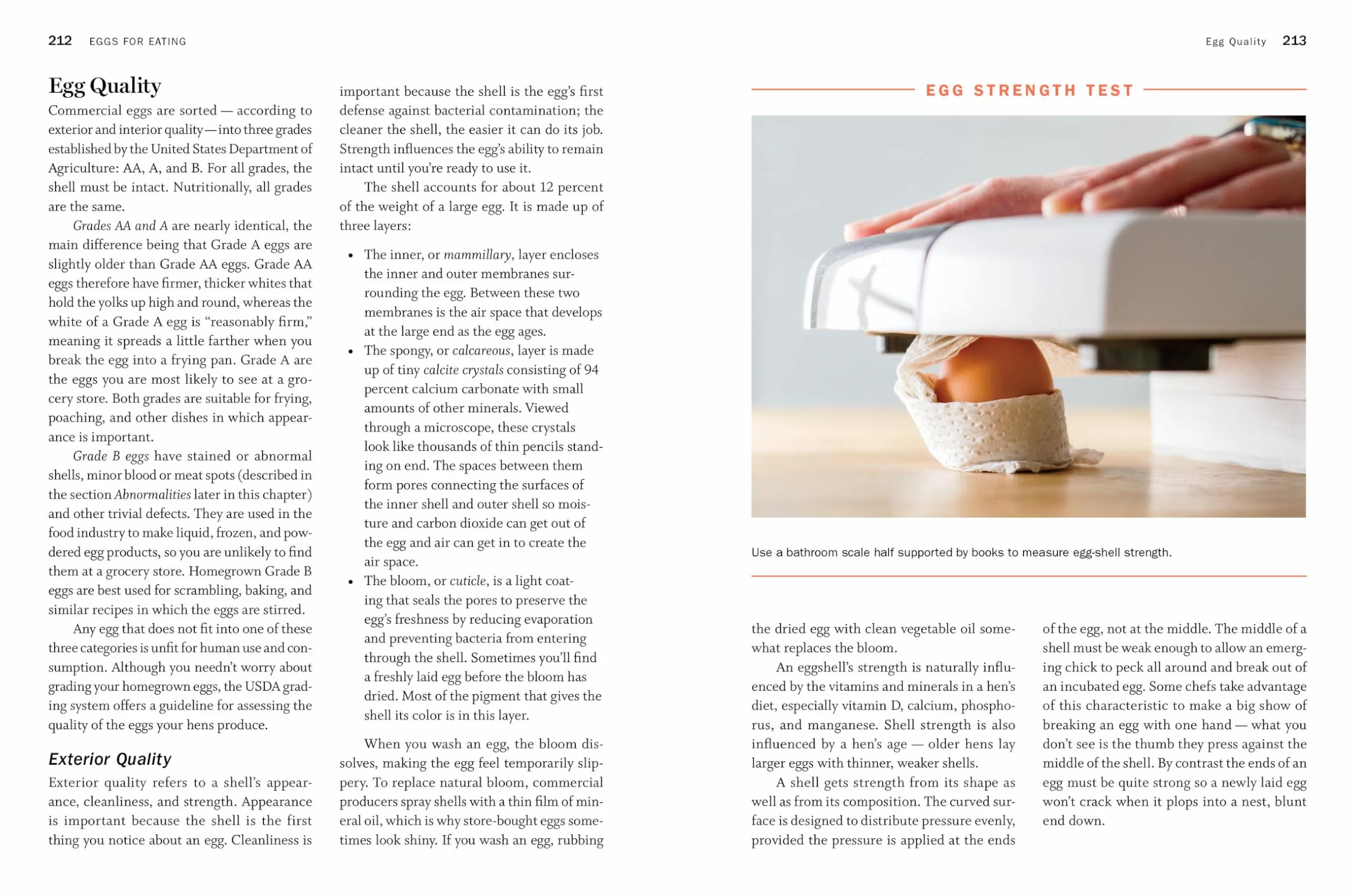 Storey's Guide to Raising Chickens, 4th Edition: Breed Selection, Facilities, Feeding, Health Care, Managing Layers & Meat Birds