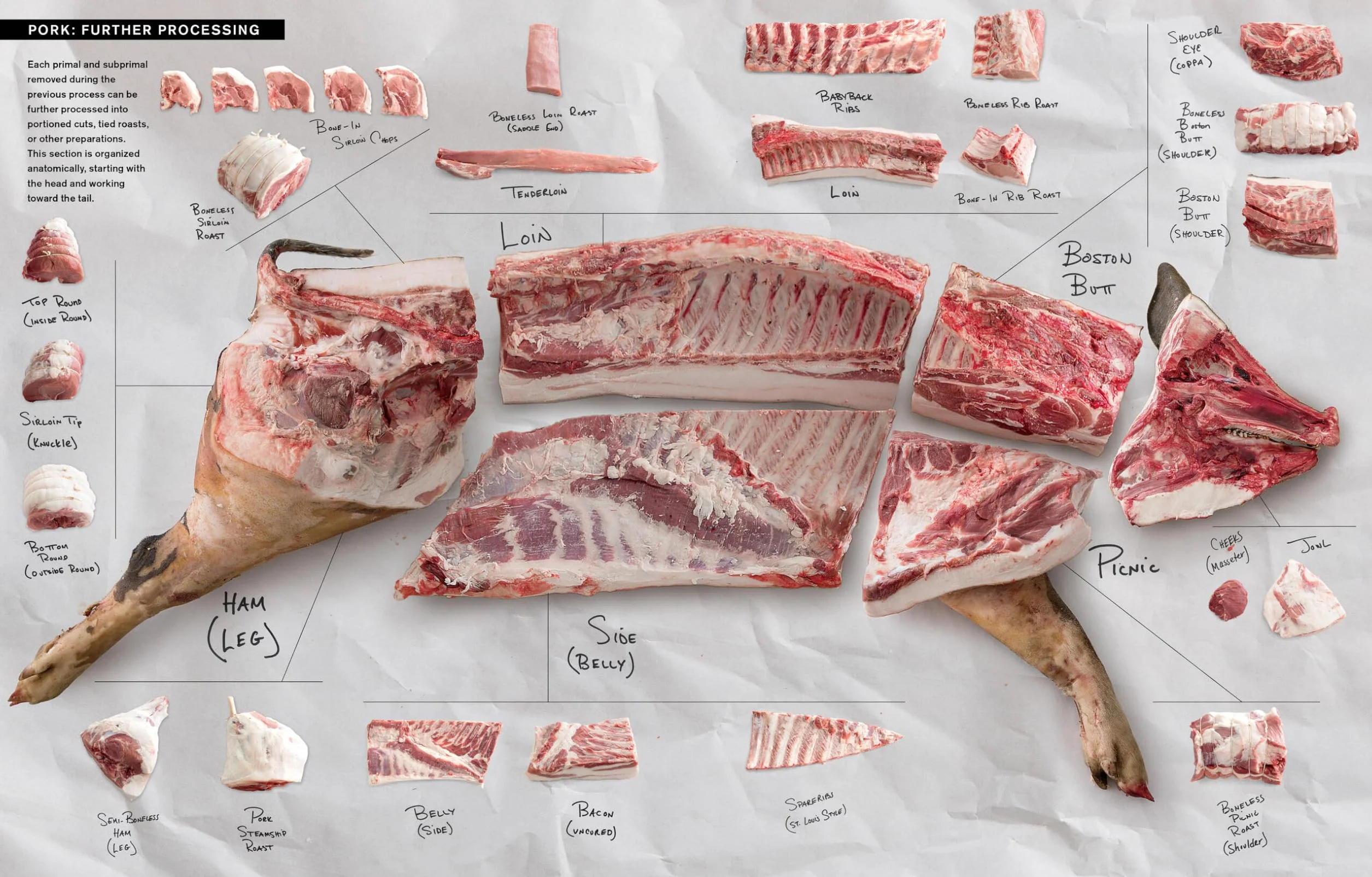 Butchering Poultry, Rabbit, Lamb, Goat, and Pork: The Comprehensive Photographic Guide to Humane Slaughtering and Butchering