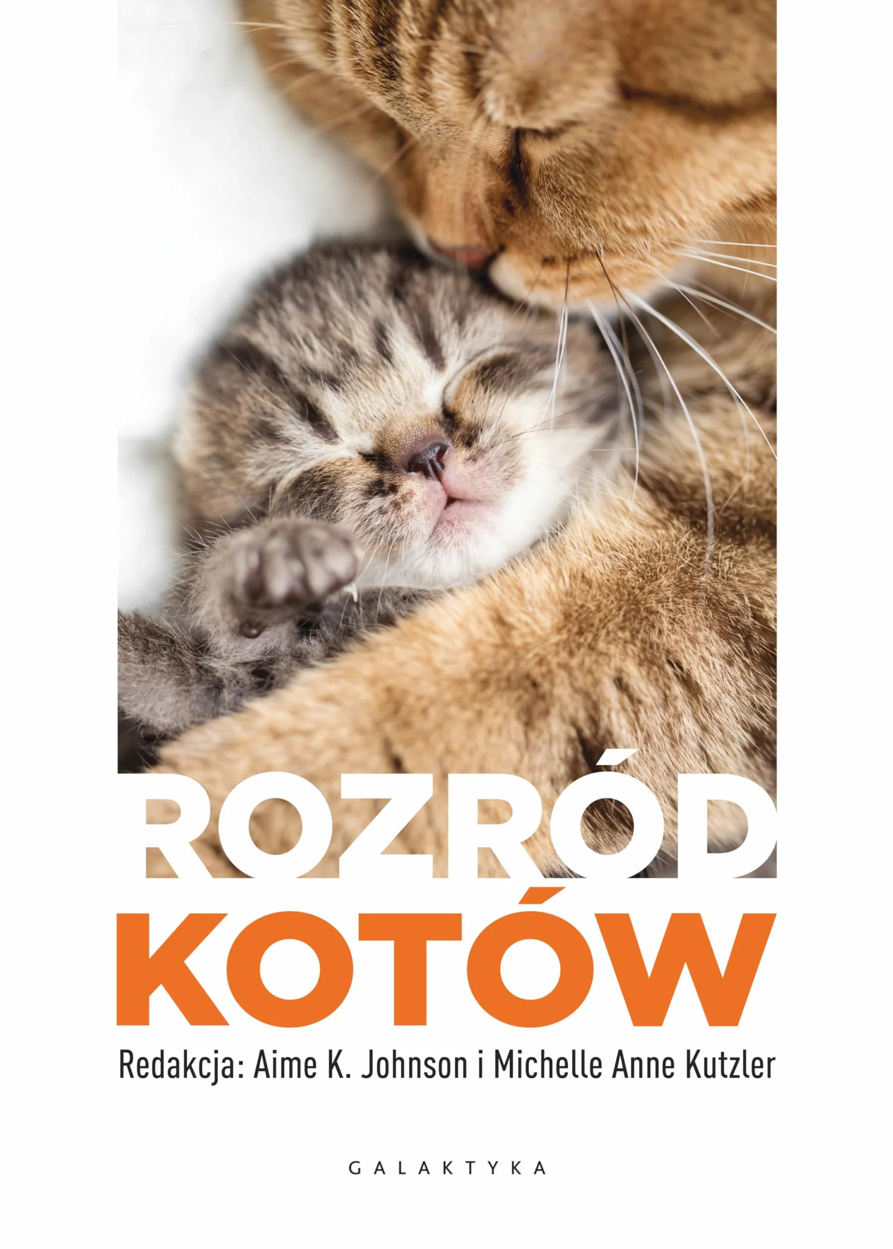 Rozród kotów
