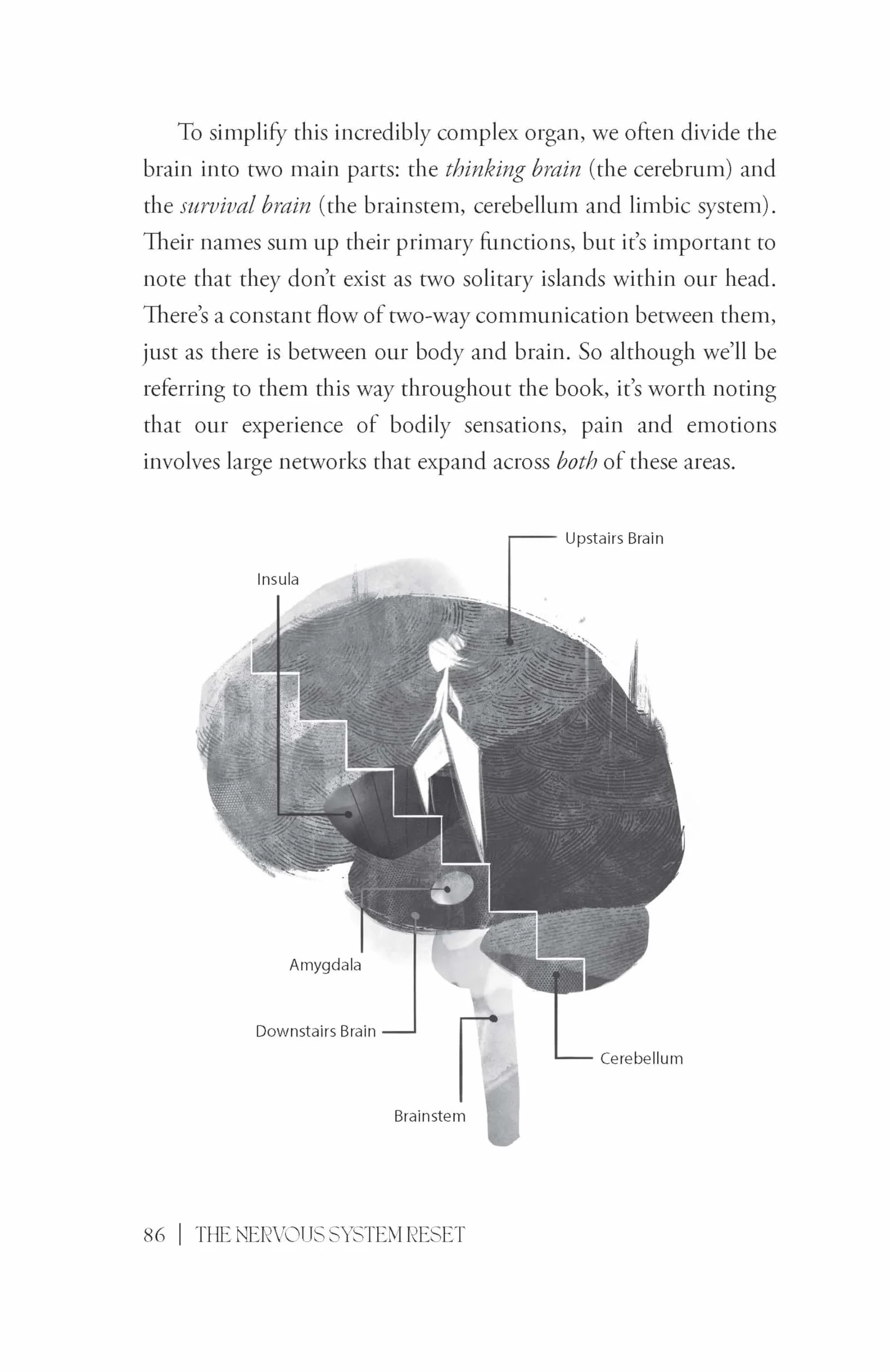 The Nervous System Reset: Overcome Pain, Trauma and Stress Using Your Vagus Nerve