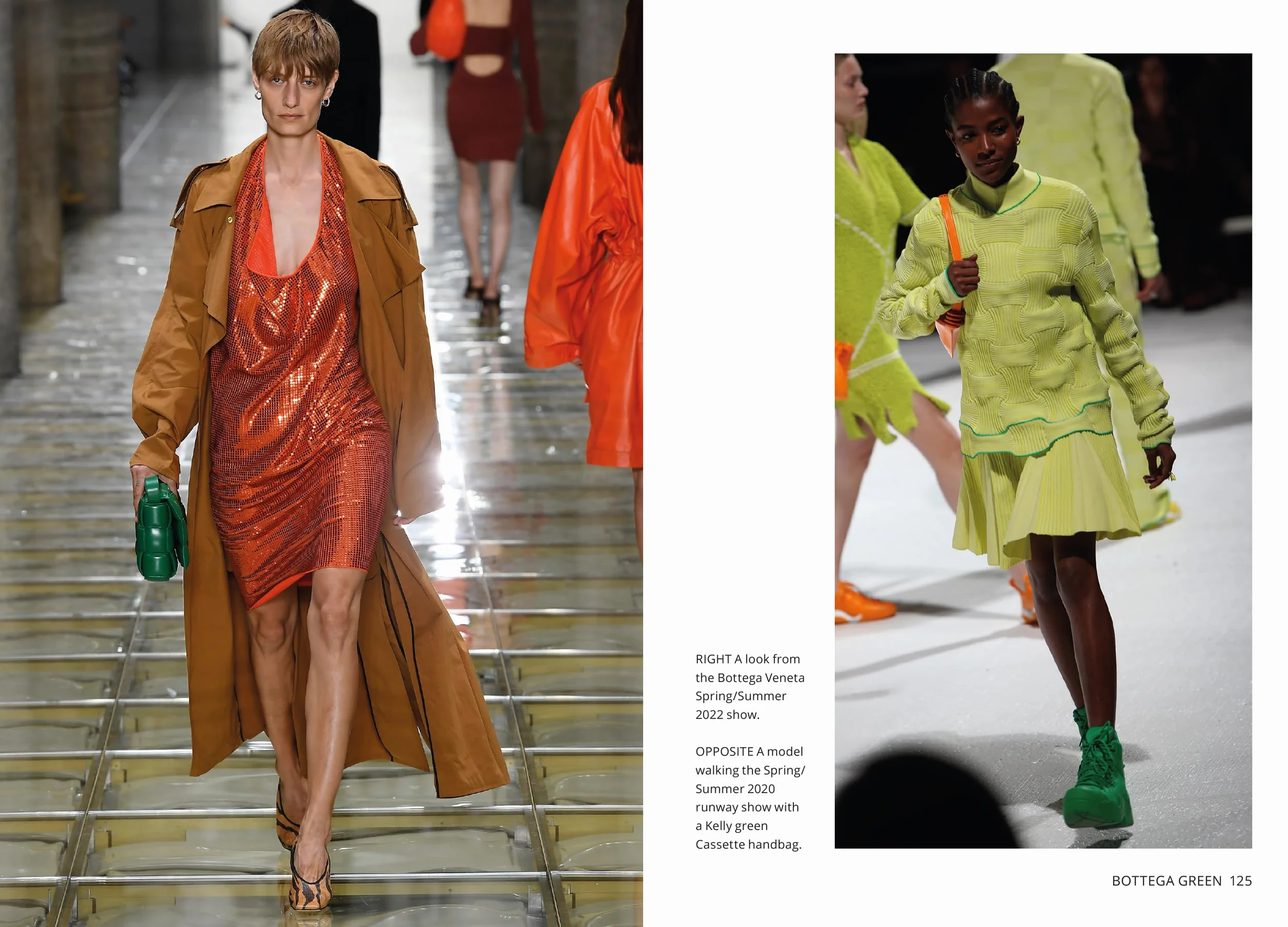 Little Book of Bottega Veneta: The Story of the Iconic Fashion House