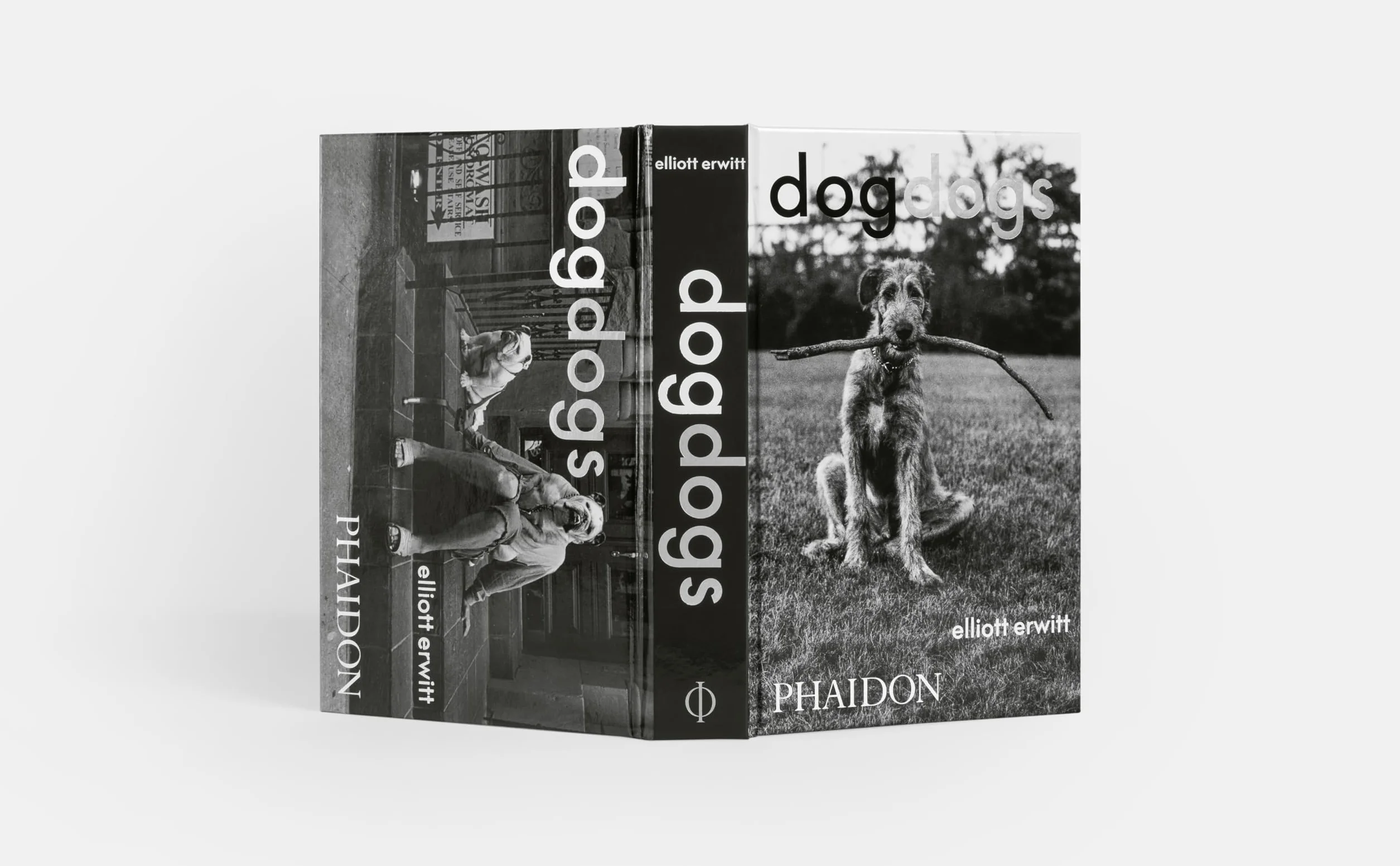 DogDogs
