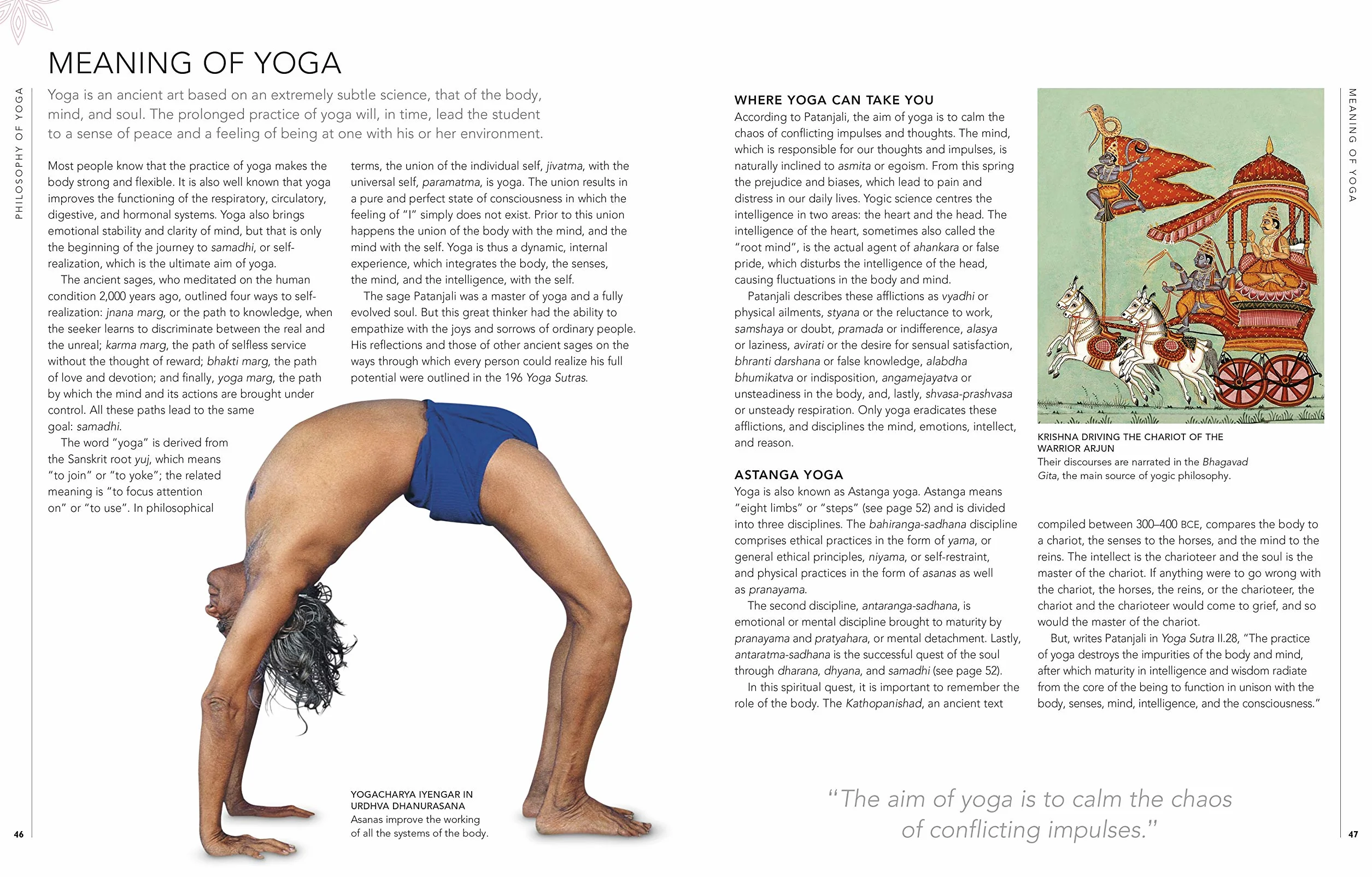 B.K.S. Iyengar Yoga The Path to Holistic Health: The Definitive Step-by-step Guide