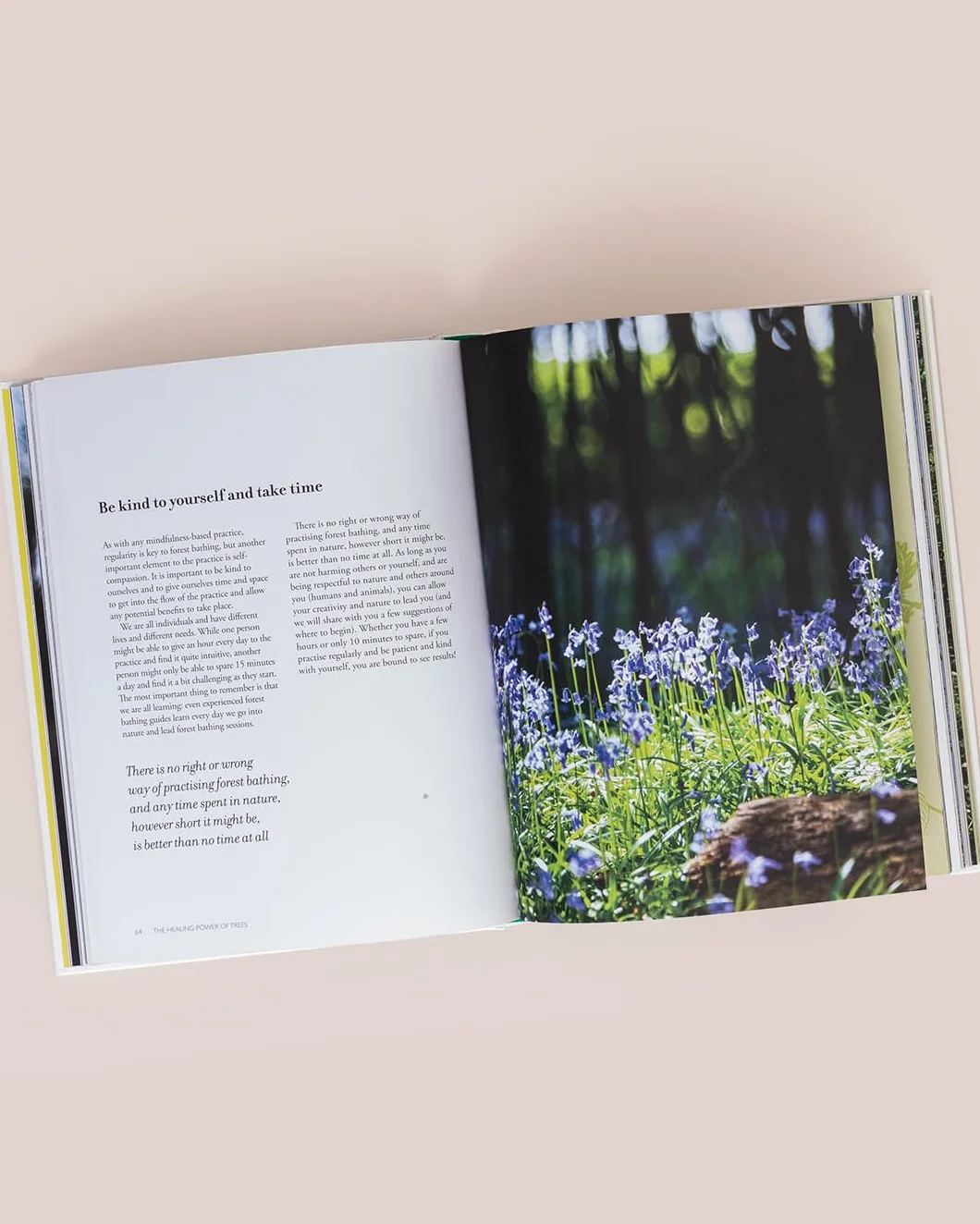 The Healing Power of Trees: The Definitive Guide to Forest Bathing