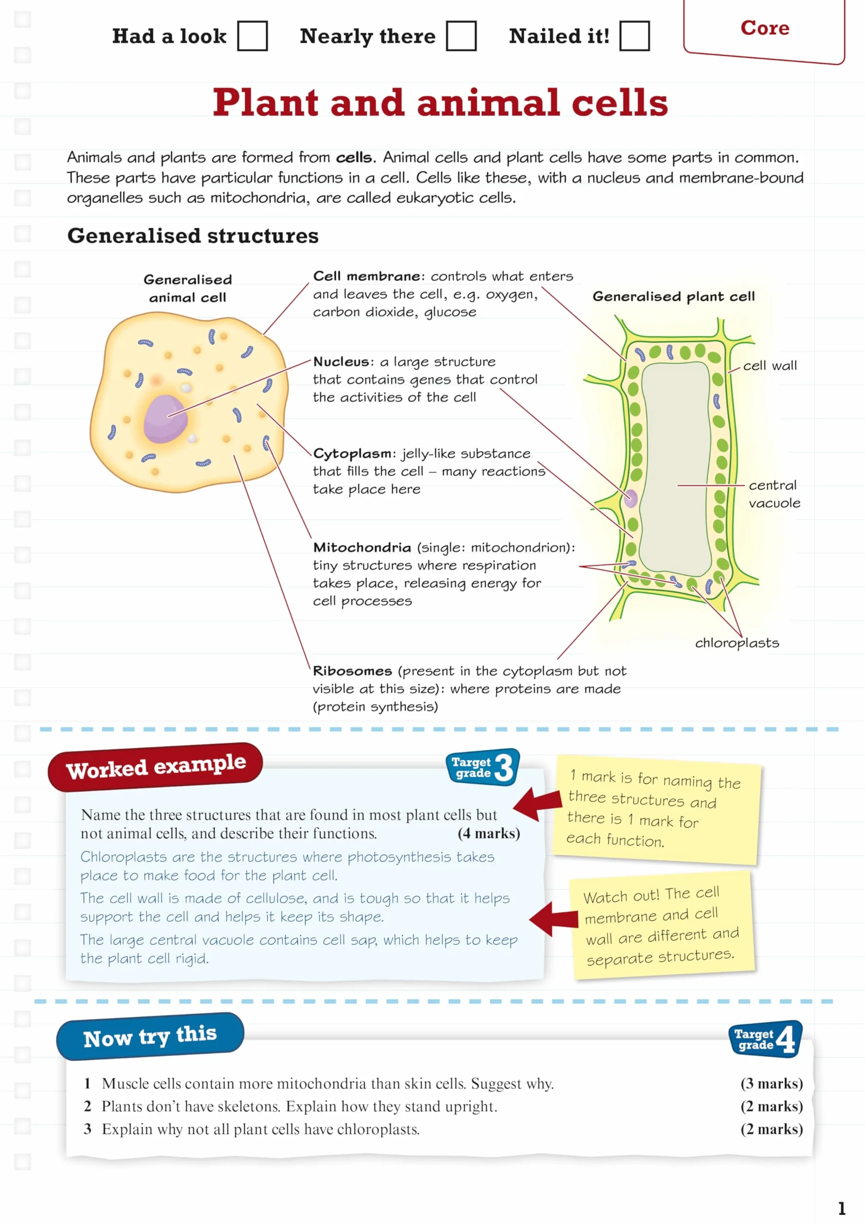 Revise Edexcel GCSE (9-1) Biology Higher Revision Guide: (with free online edition)