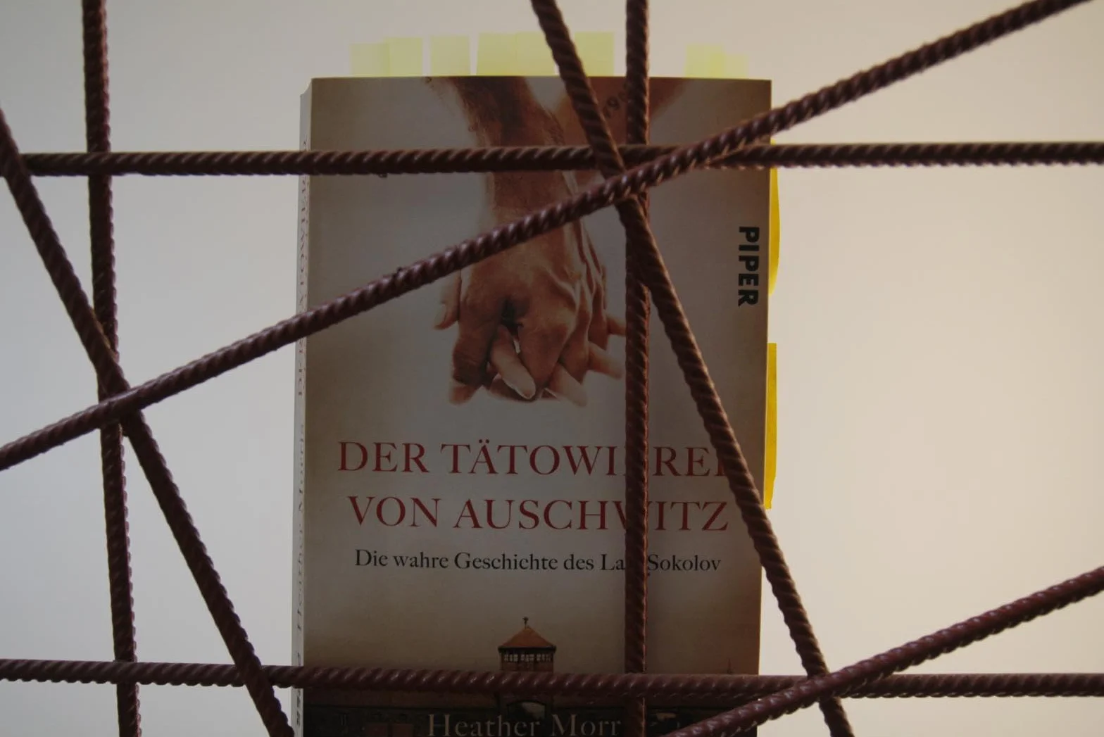 Der Tätowierer von Auschwitz: Die wahre Geschichte des Lale Sokolov