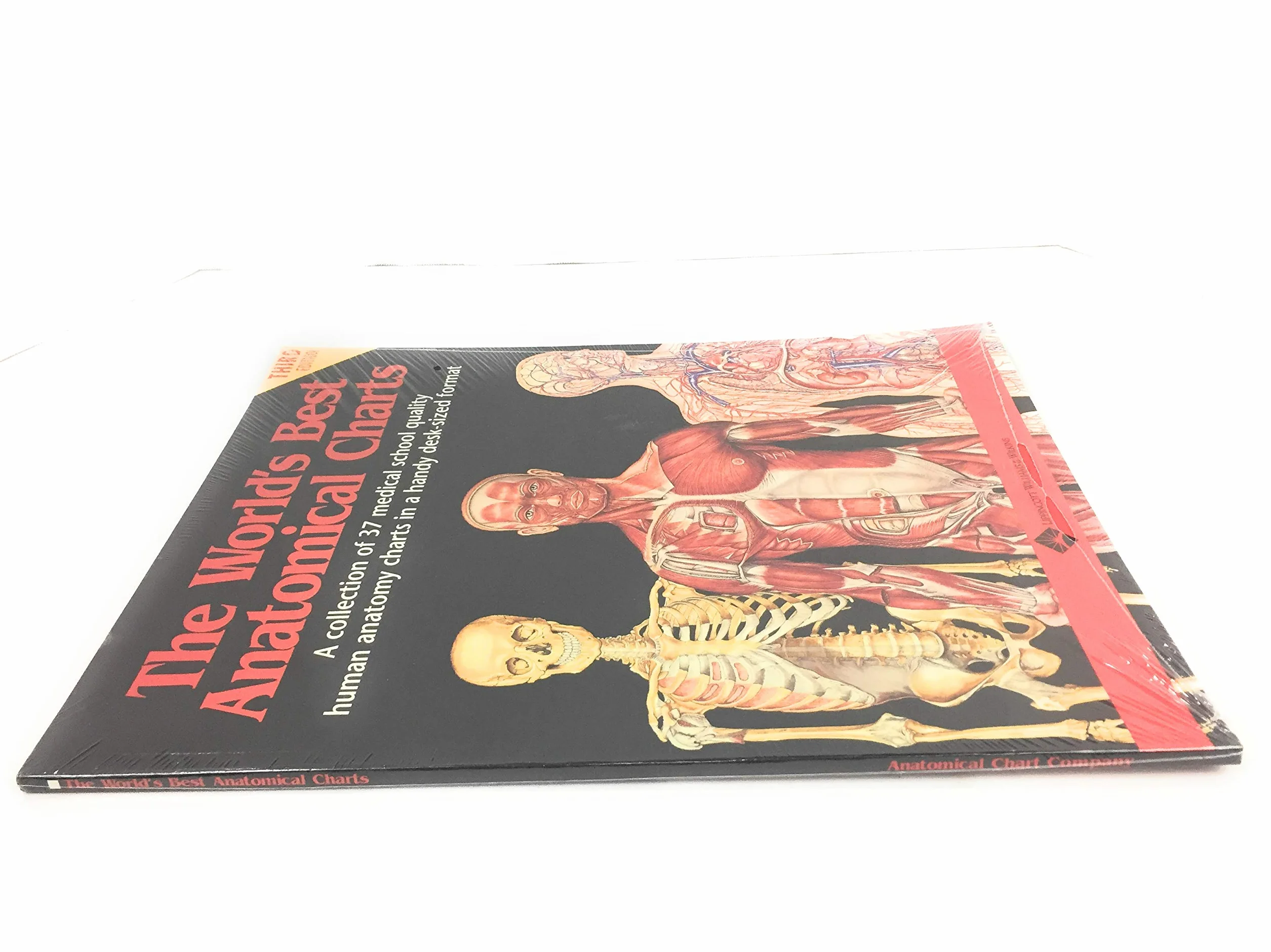 Anatomical Charts