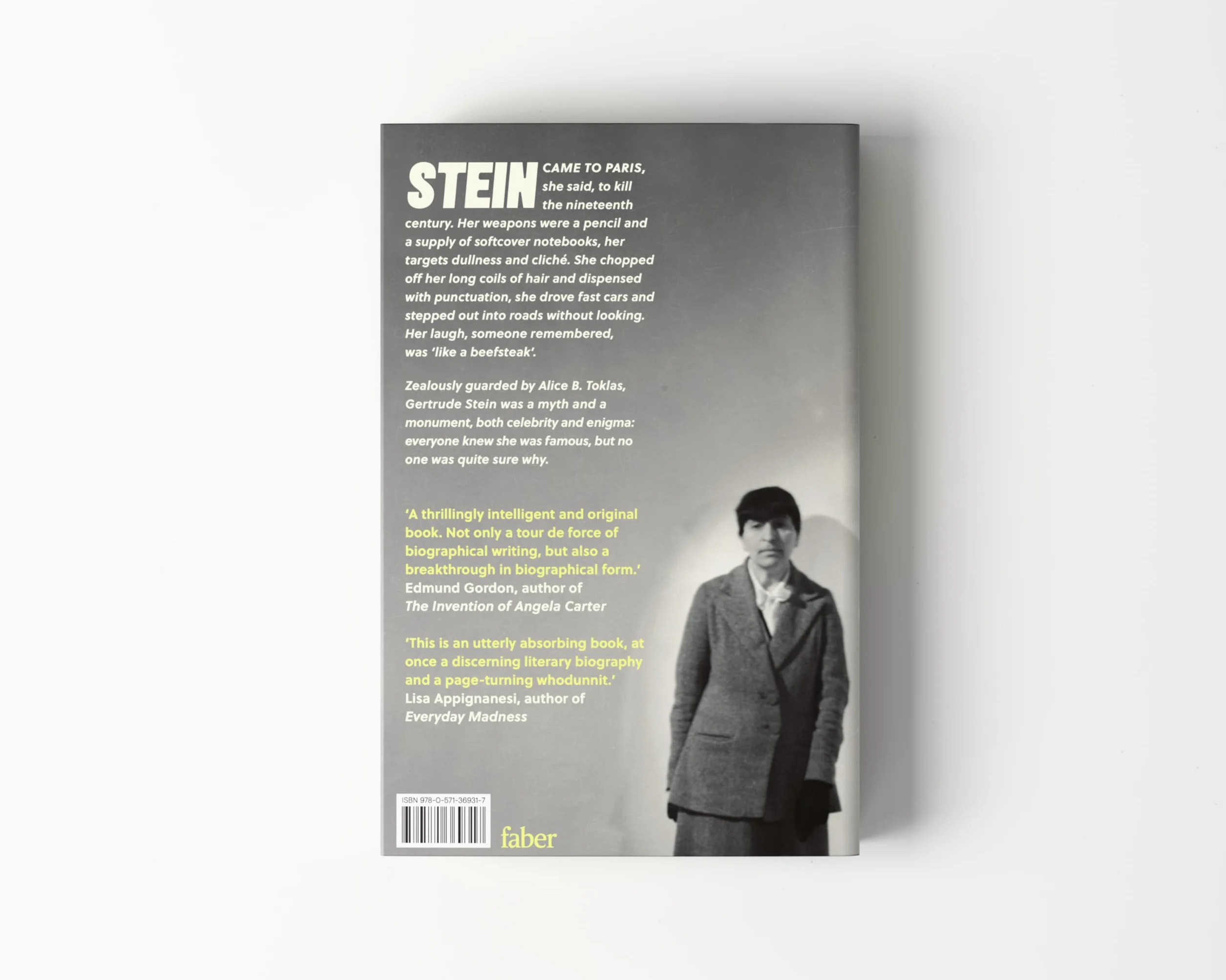 Gertrude Stein: An Afterlife – 'Strikingly accomplished . . . utterly compelling.'