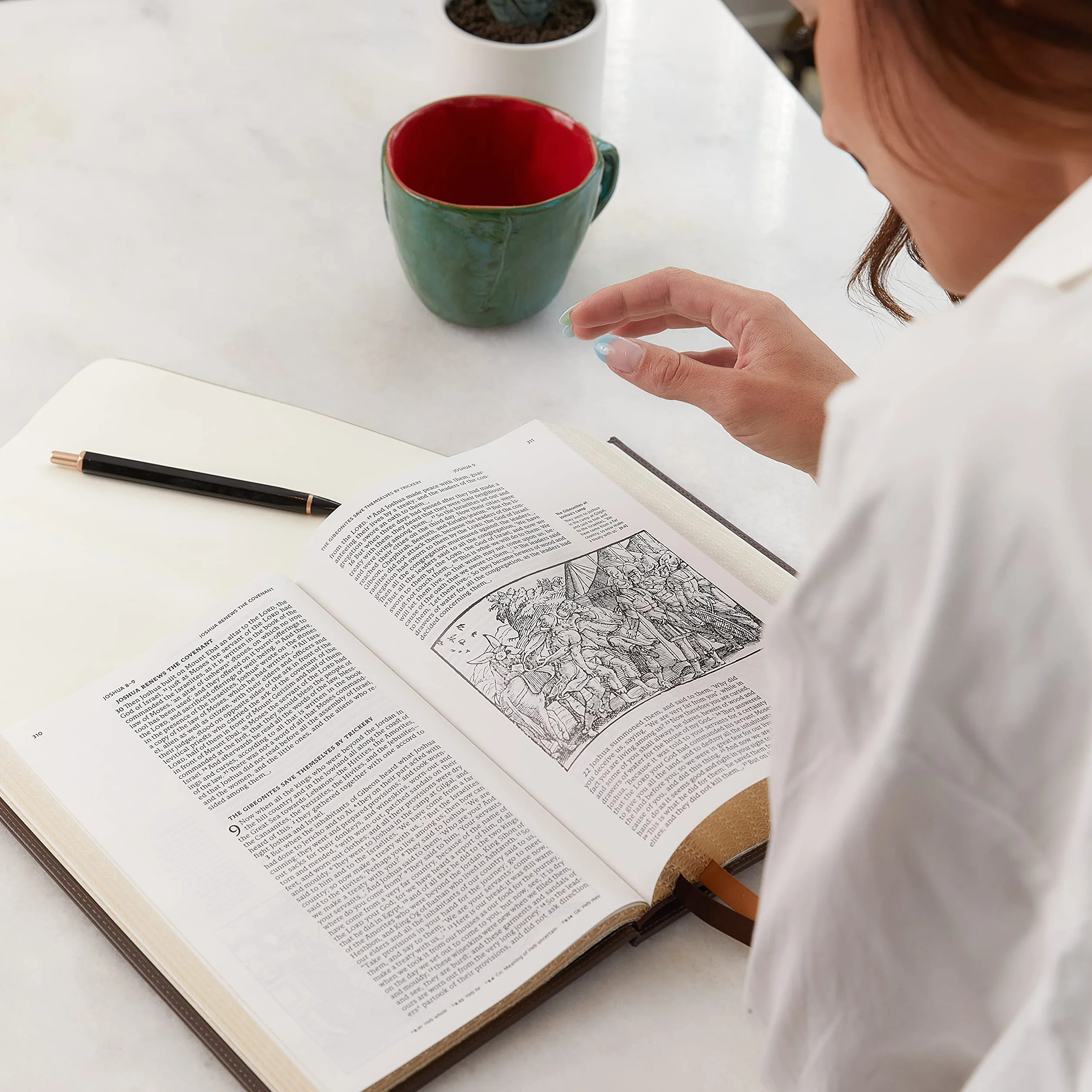 Nrsvce, Illustrated Catholic Bible, Leathersoft, Comfort Print: Holy Bible