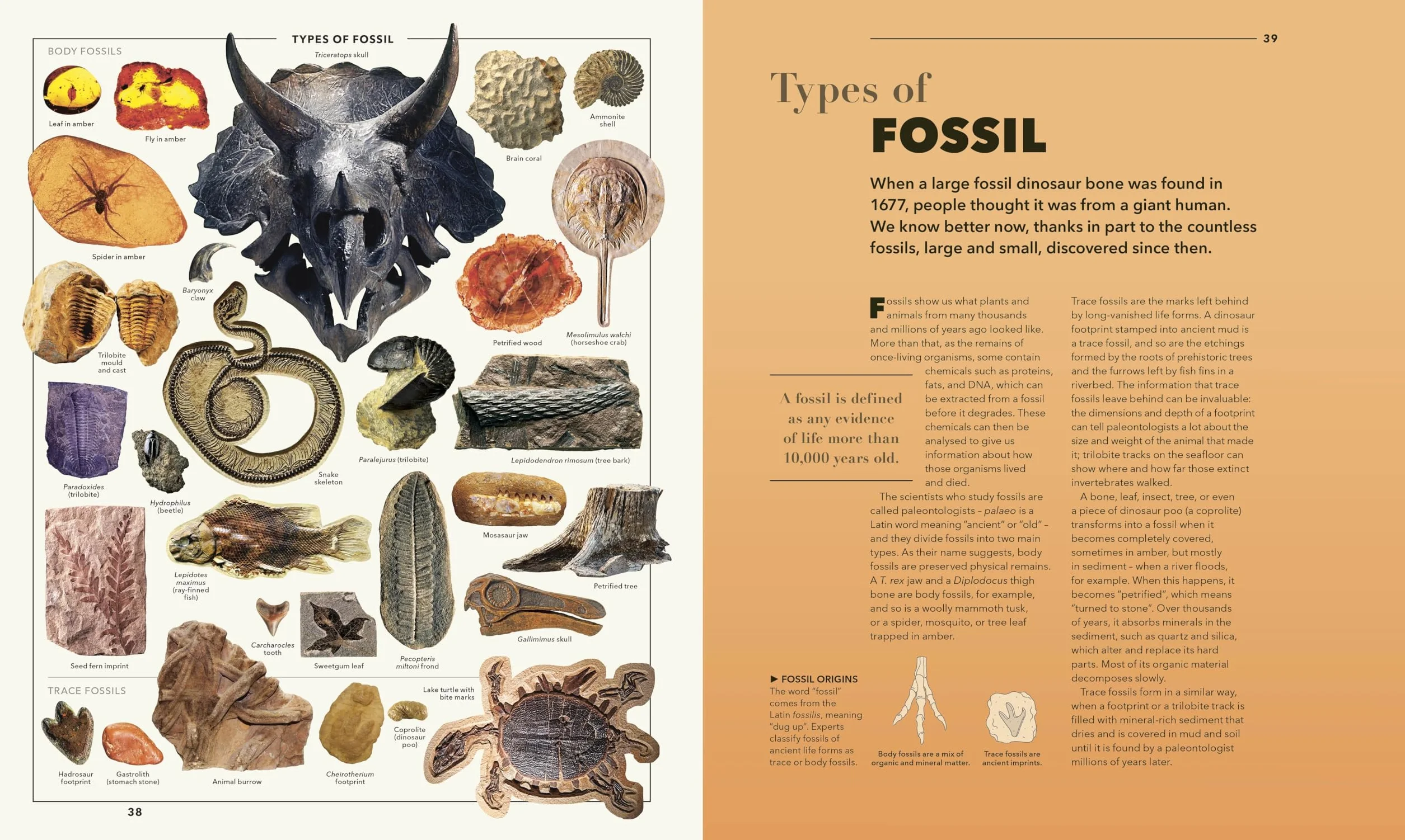 Knowledge A Visual Compendium: Making Sense of our World