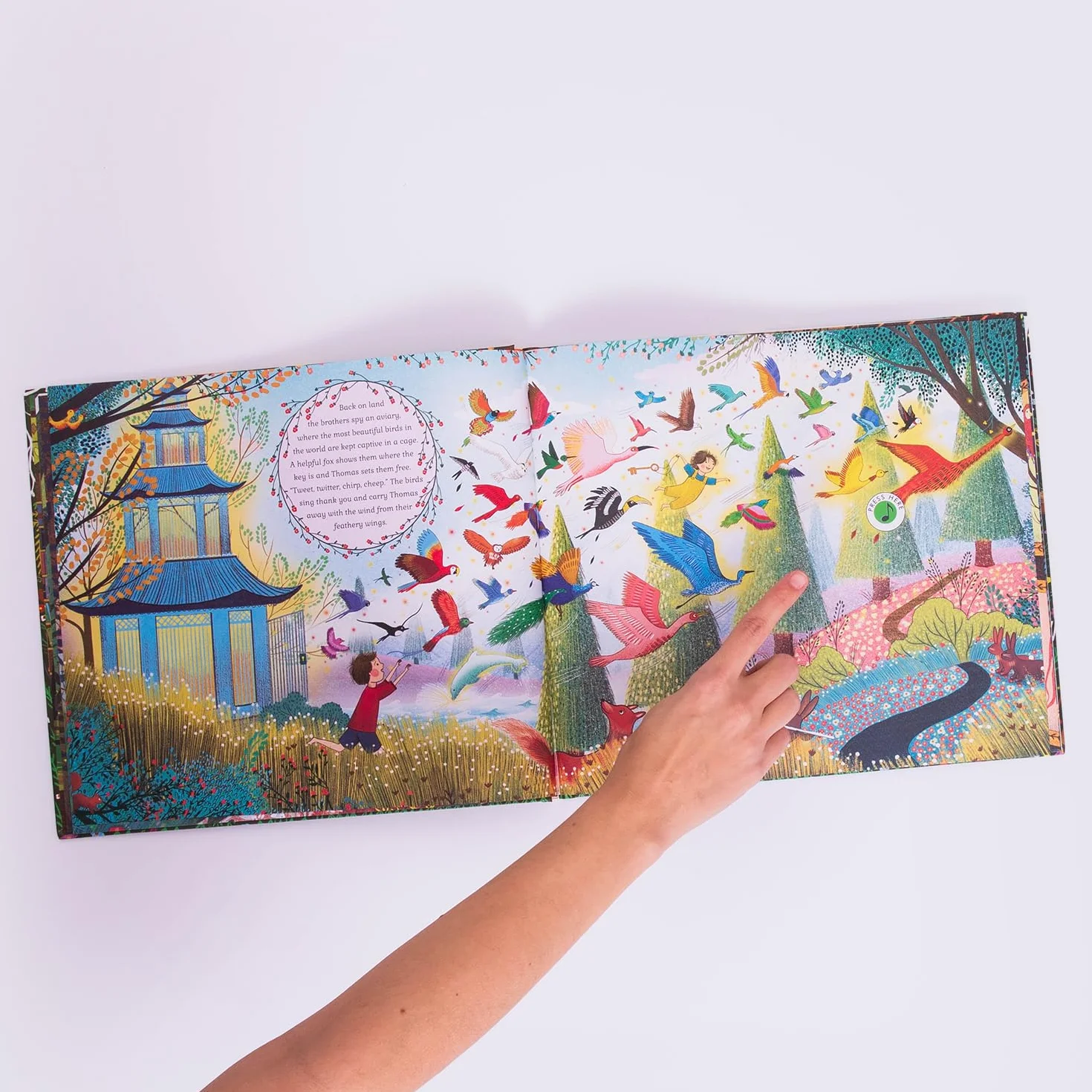 The Story Orchestra: Carnival of the Animals: Press the Note to Hear Saint-Saëns' Music: 5
