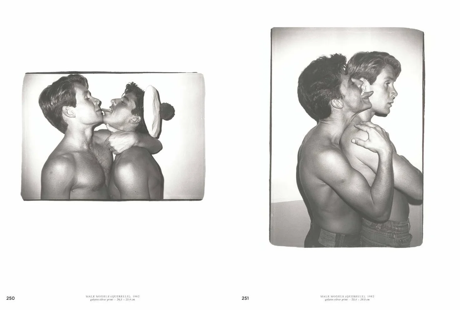 Andy Warhol Velvet Rage and Beauty