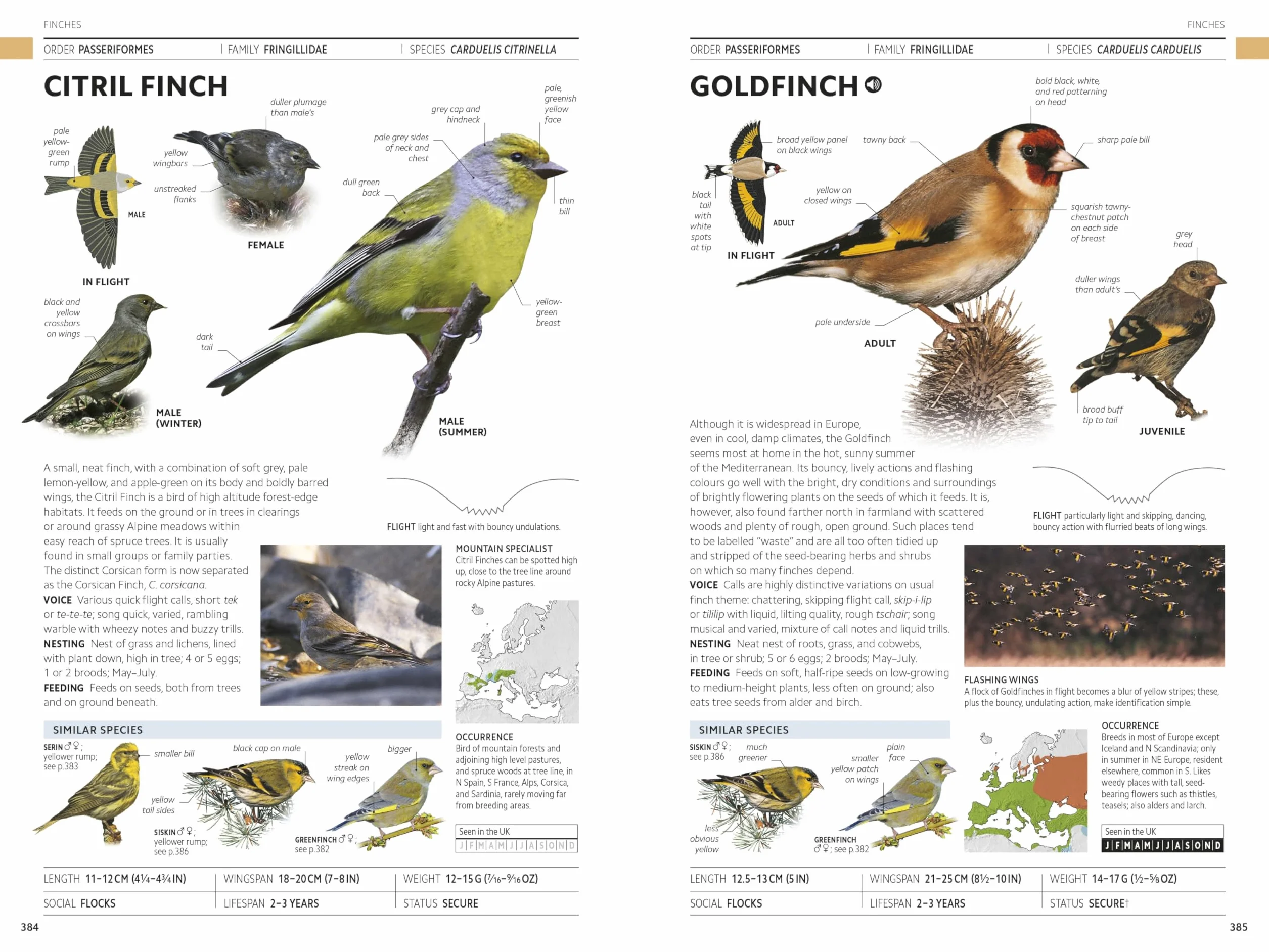 Rspb Birds of Britain and Europe: The Definitive Photographic Field Guide