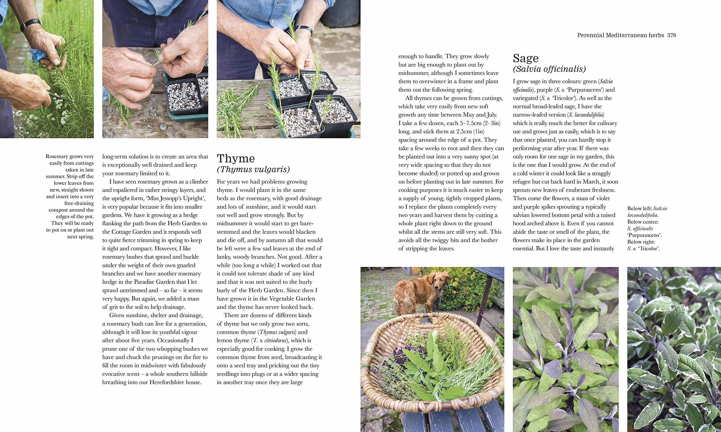 The Complete Gardener: A Practical Guide to Gardening