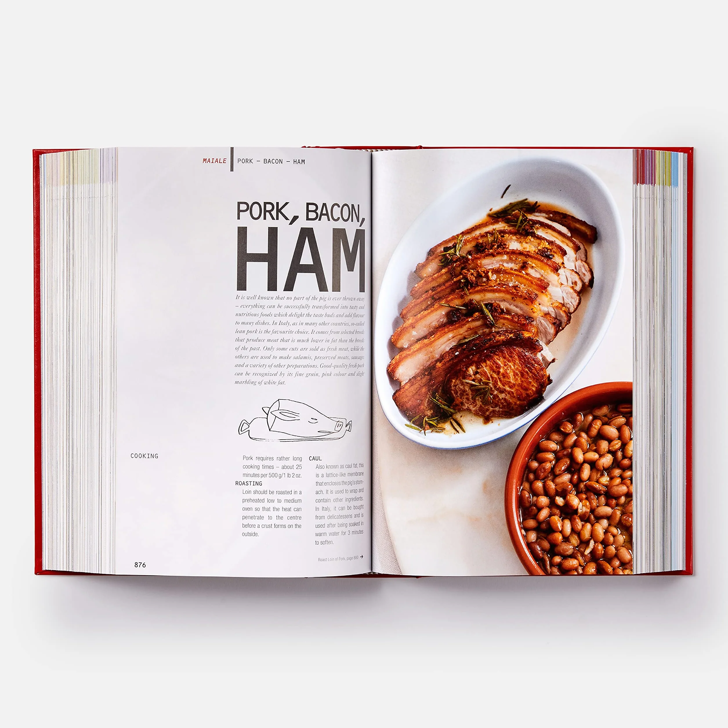 The Silver Spoon Bestselling Italian cookbook