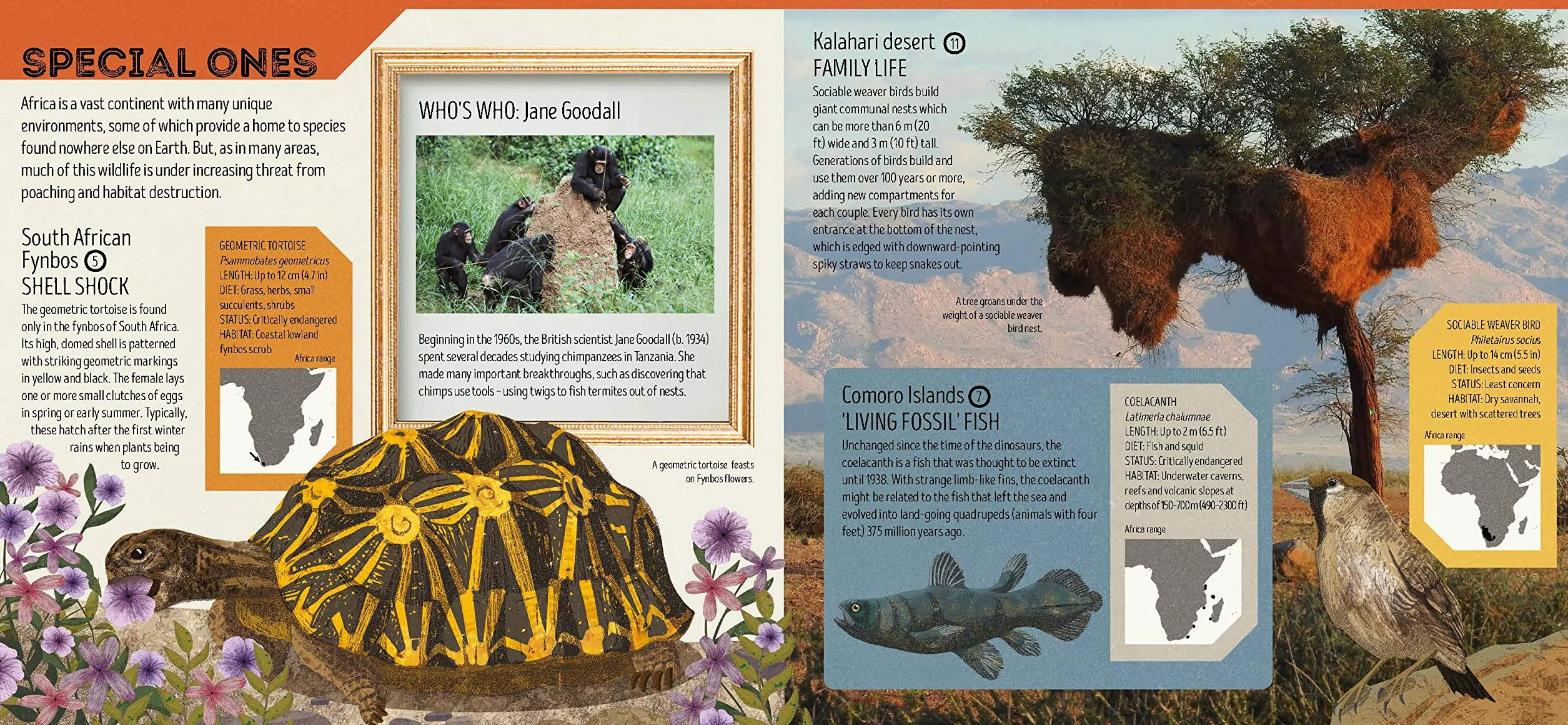 Lonely Planet Kids Animal Atlas: 1 (Creature Atlas): Amazing Facts & Fold Out Maps | Explore Creature Features From a Bear's Paw to a Baby Turtle | Packed with Beautiful Illustrations