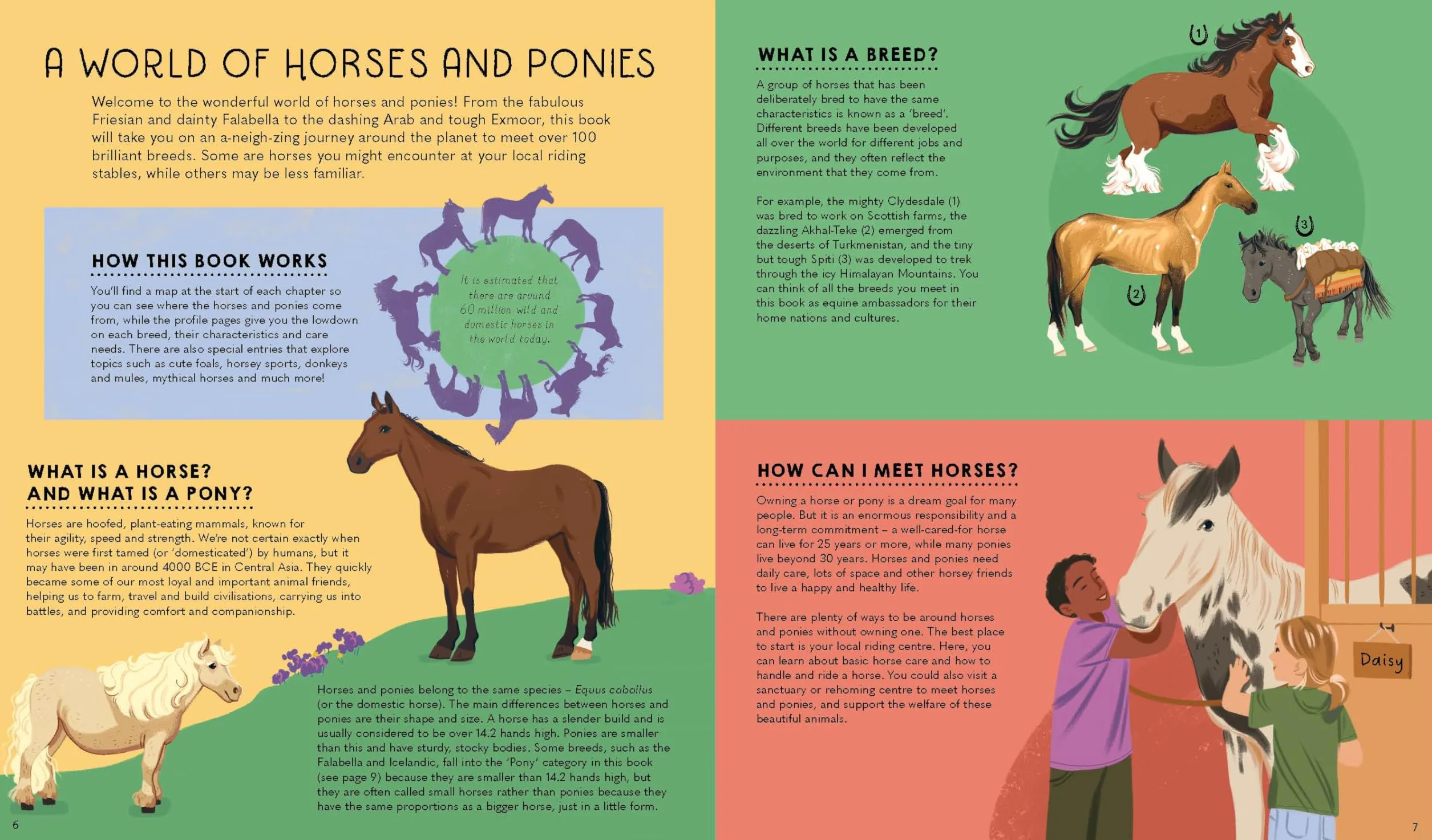 Atlas of Horses and Ponies: 100 Amazing Breeds From Around the World Fun Features Illustrations Learn About Super Senses Fascinating Facts