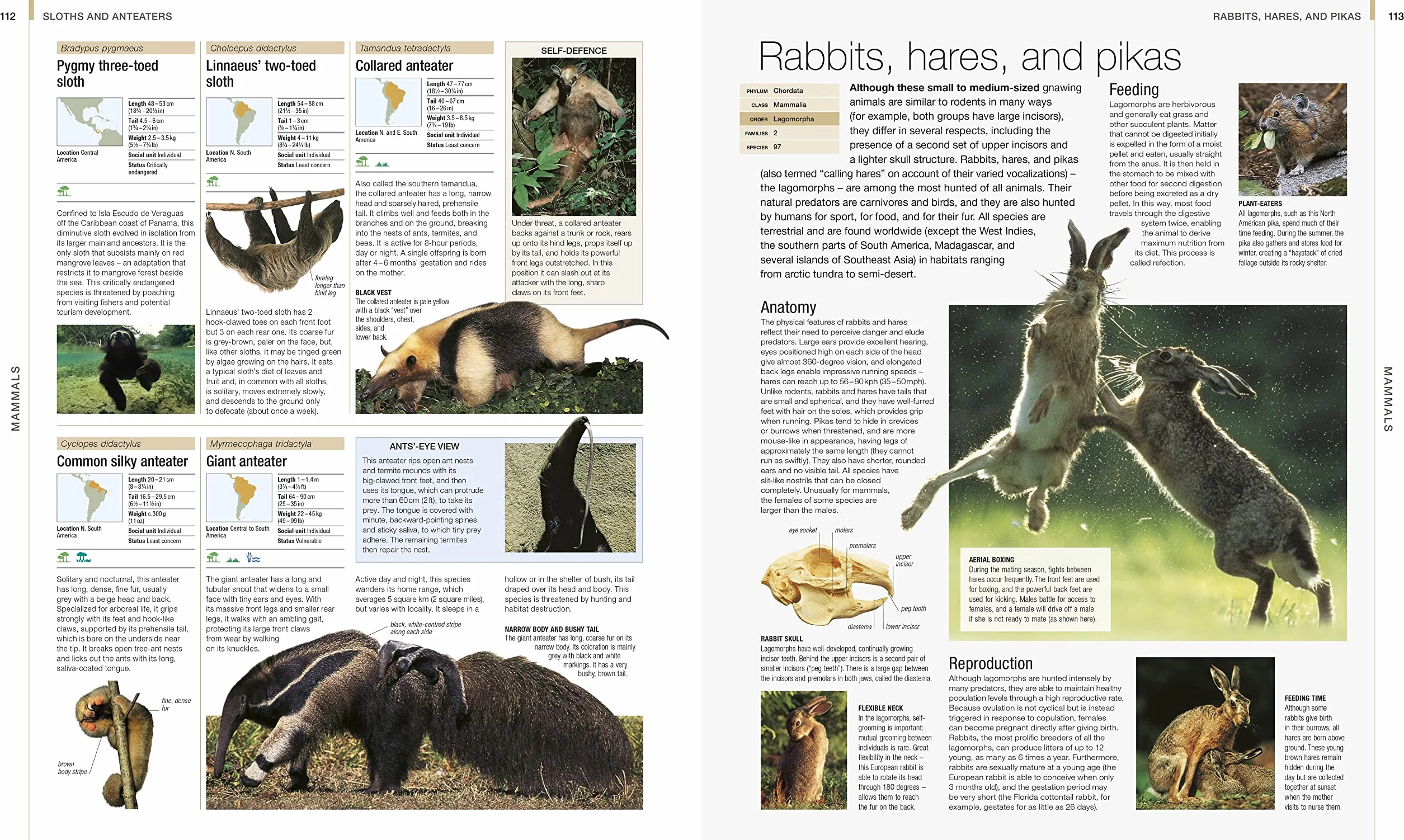 Animal: The Definitive Visual Guide