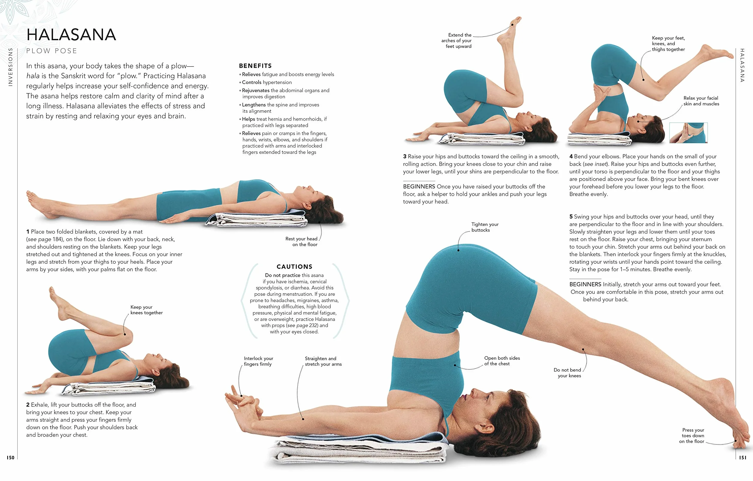 B.K.S. Iyengar Yoga The Path to Holistic Health: The Definitive Step-by-step Guide