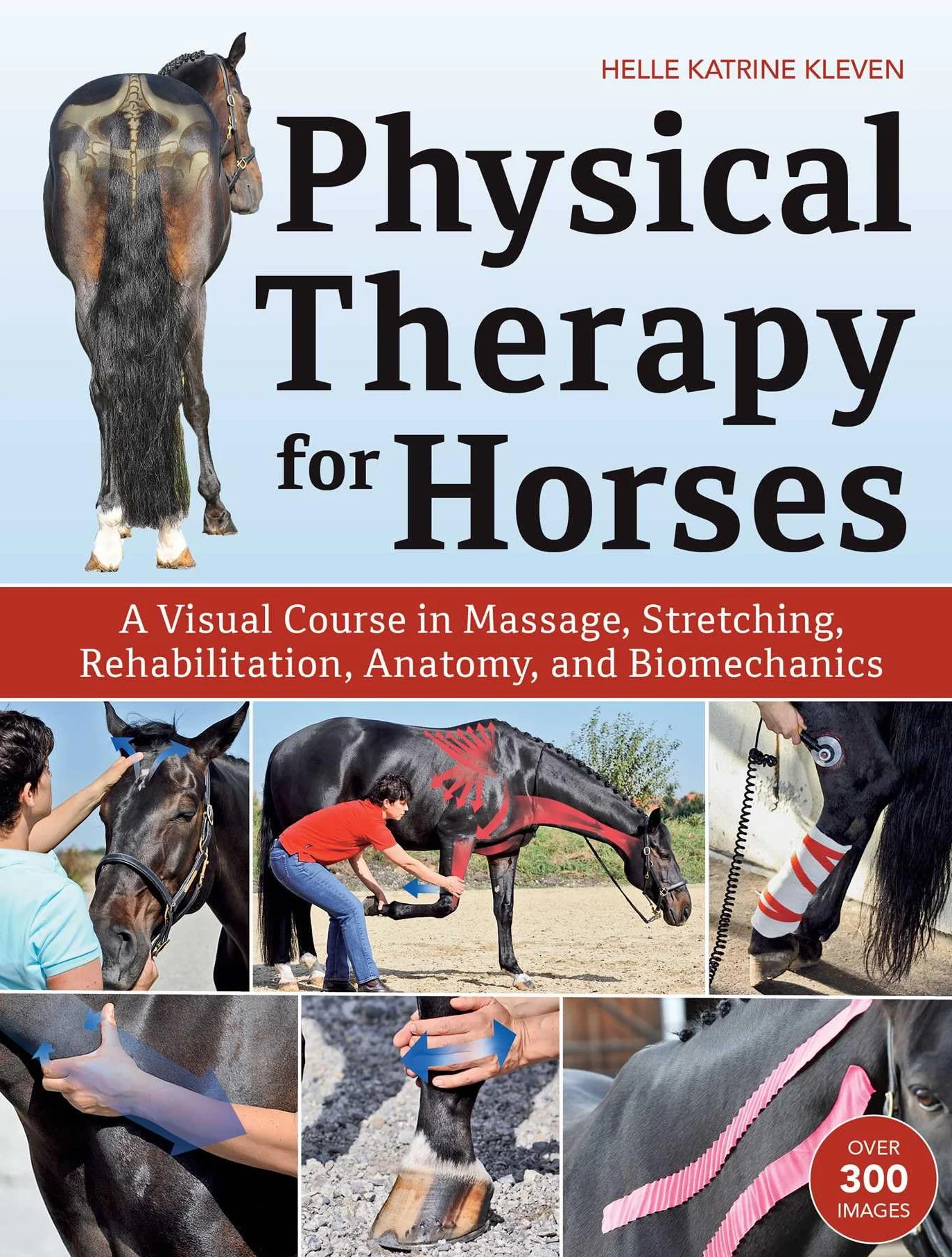 Physical Therapy for Horses: Massage, Stretching, Rehabilitation, Anatomy, Biomechanics