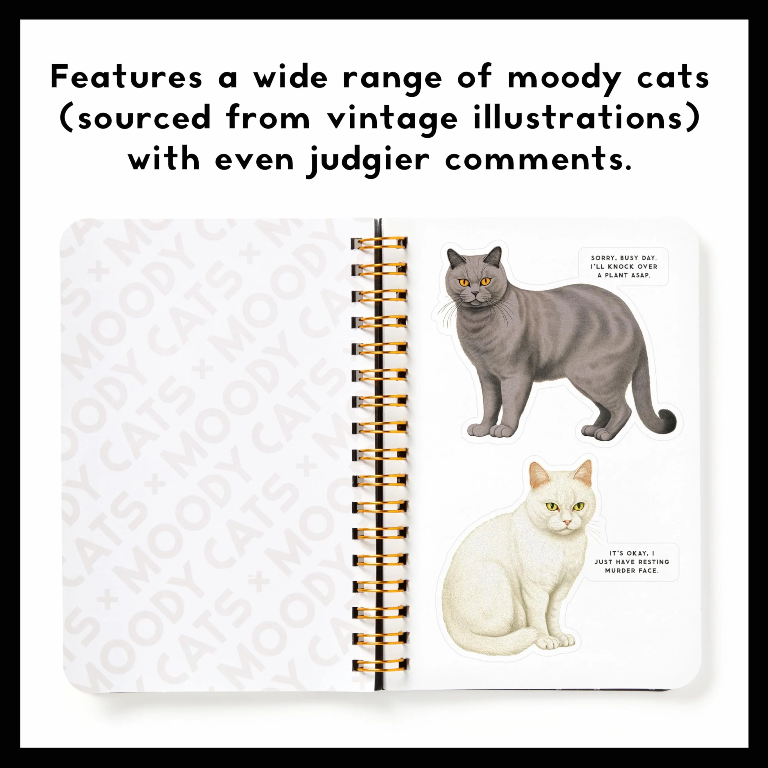 Moody Cats Sticker Book